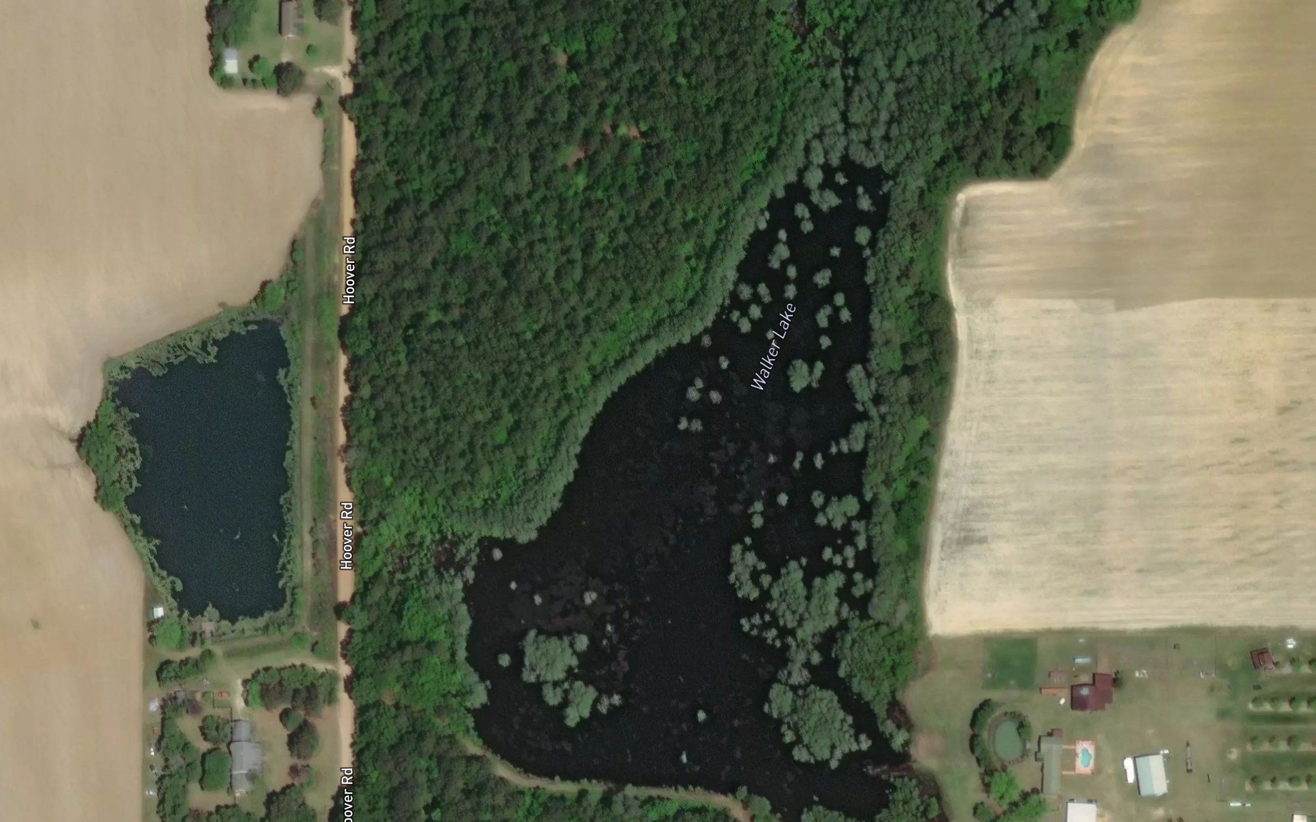 Walker Lake