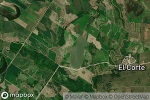 Laguna Francis Vocal