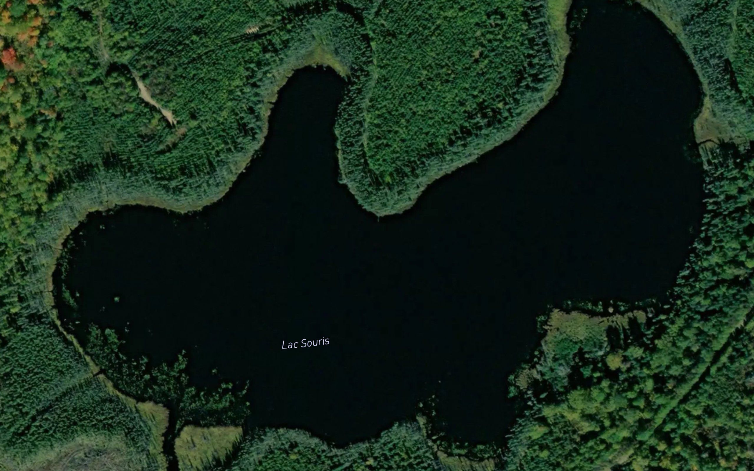 Lac Souris