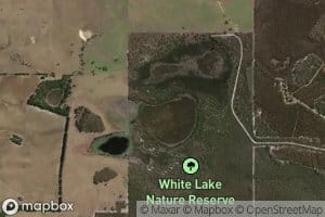 White Lake