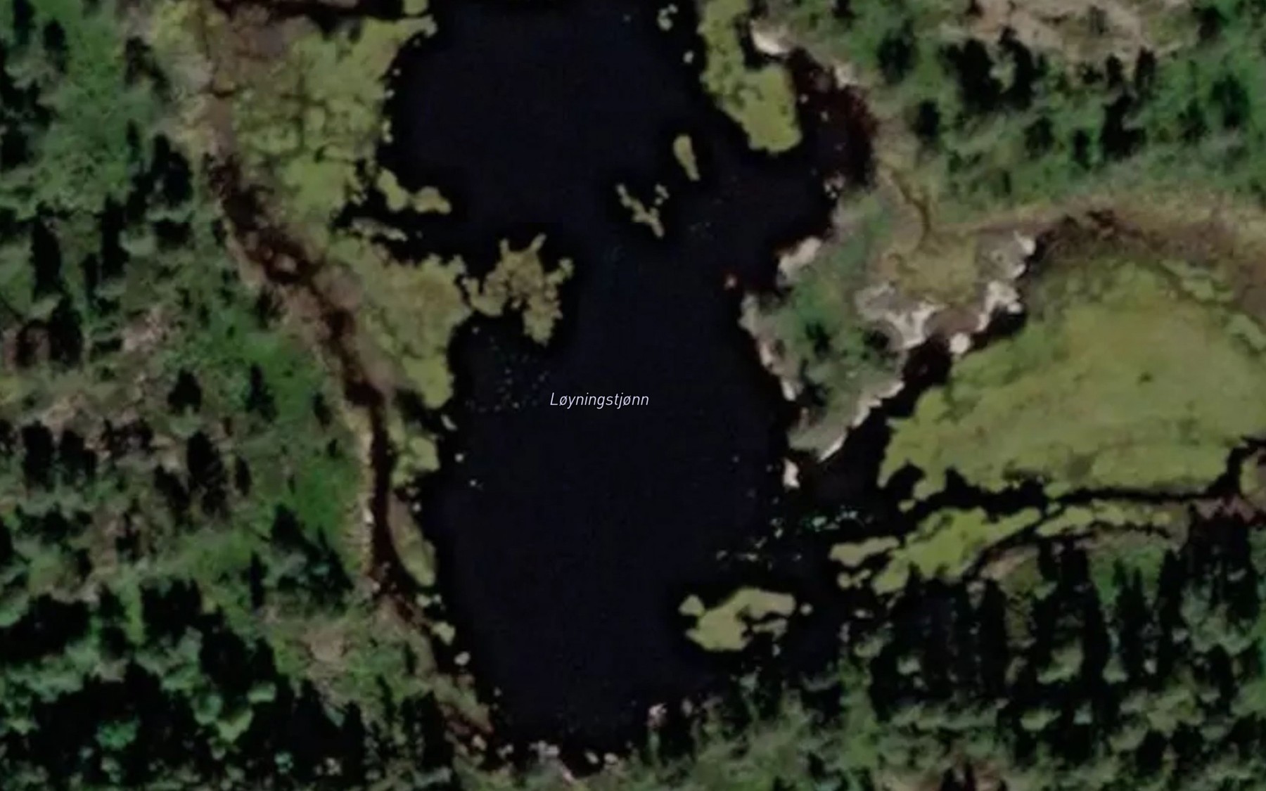 Satellite map of the Loyningstjorni
