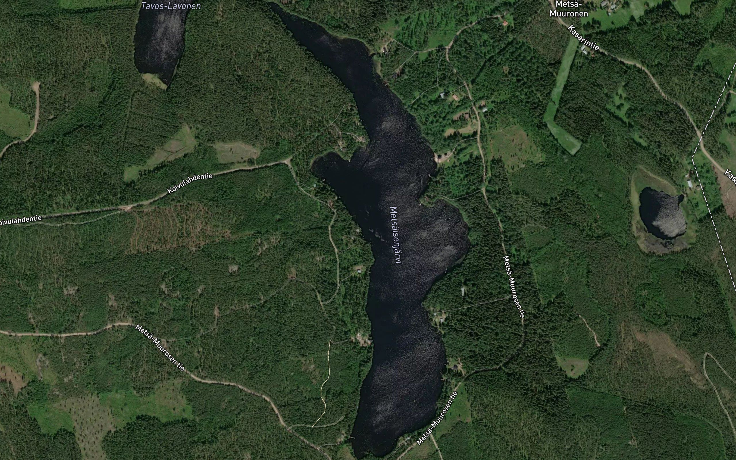 Metsaisenjarvi
