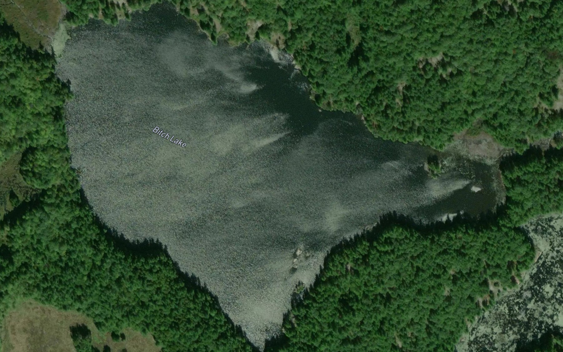 Satellite map of the Bitch Lake