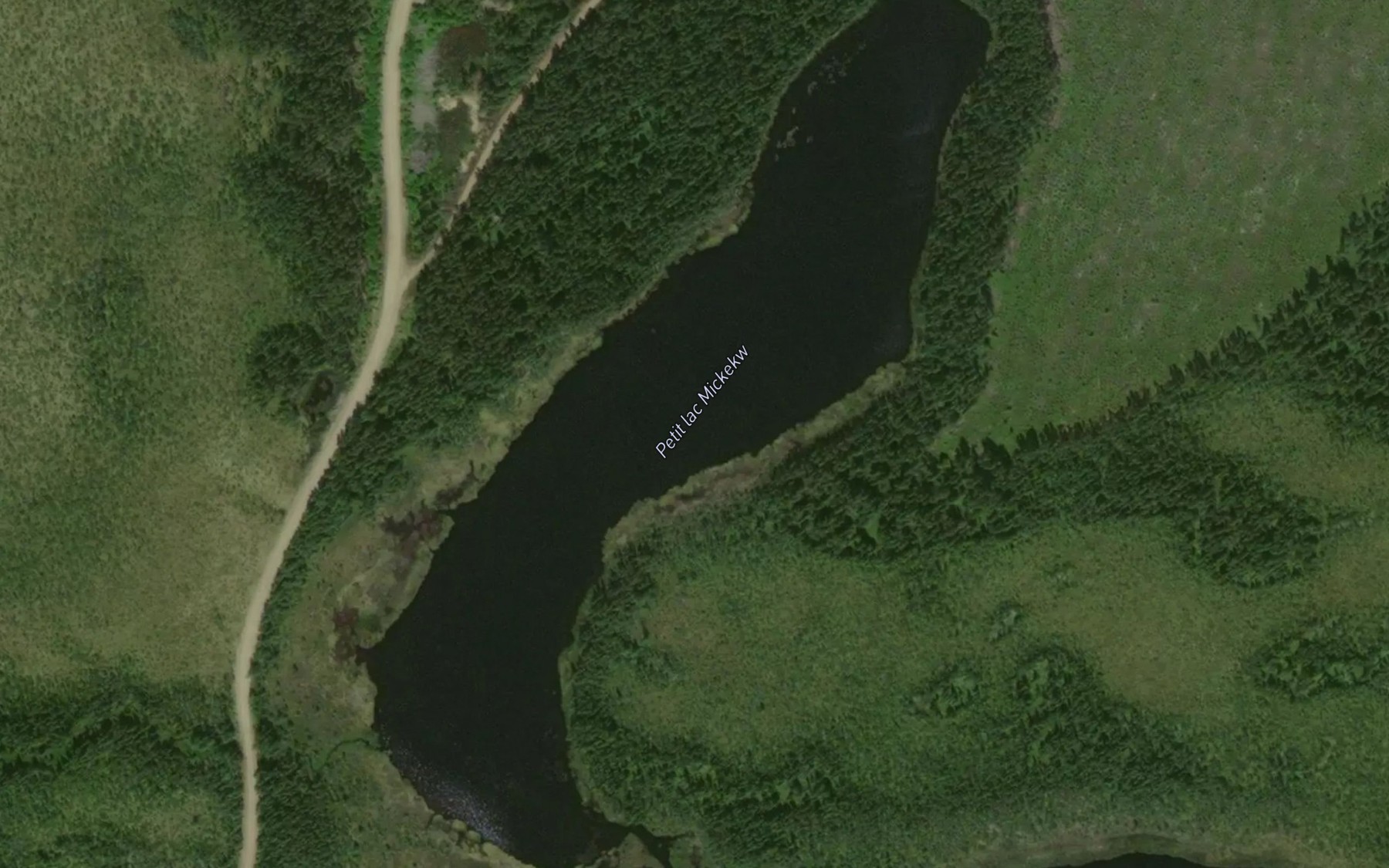 Satellite map of the Petit lac Mickekw