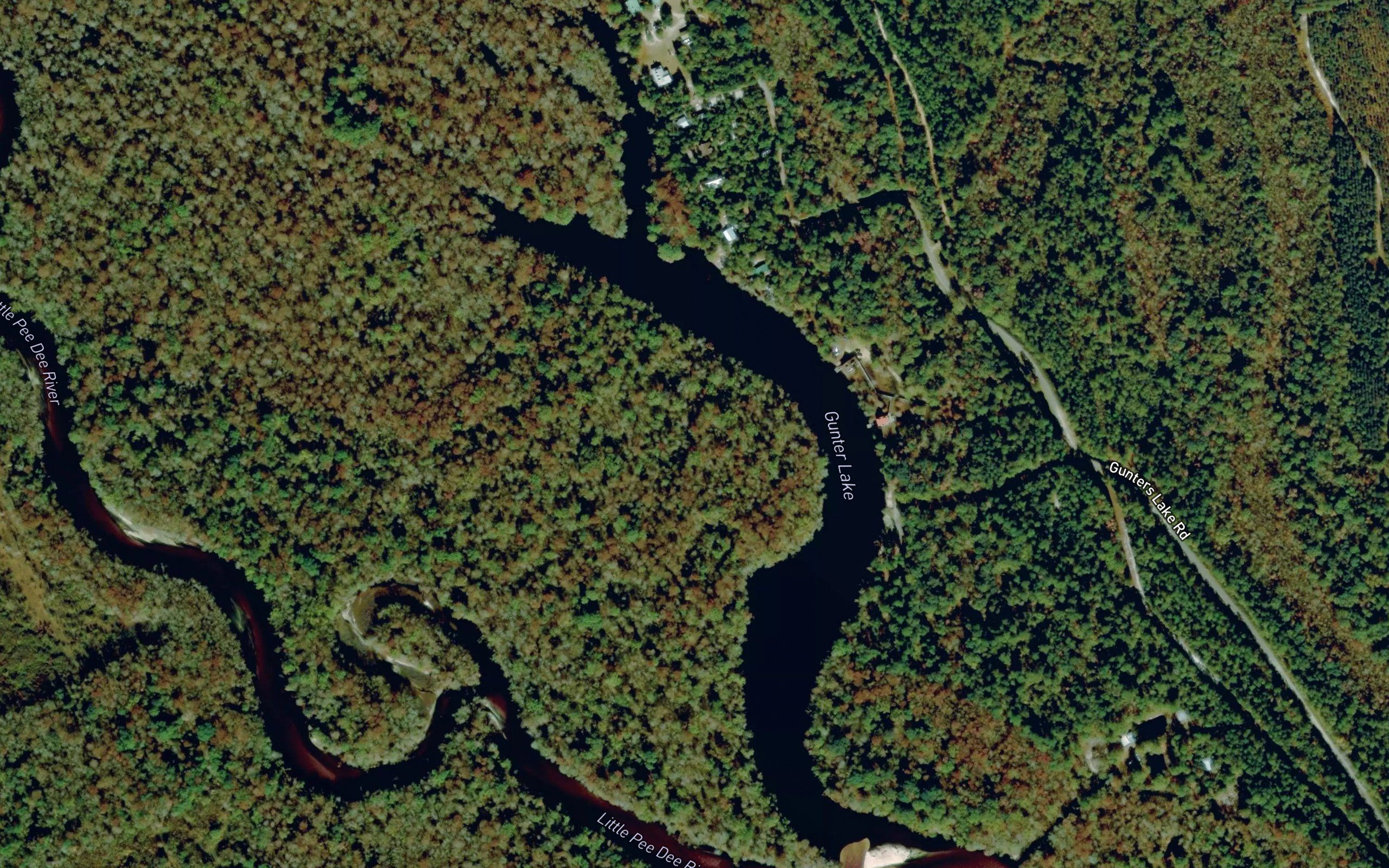 Gunter Lake