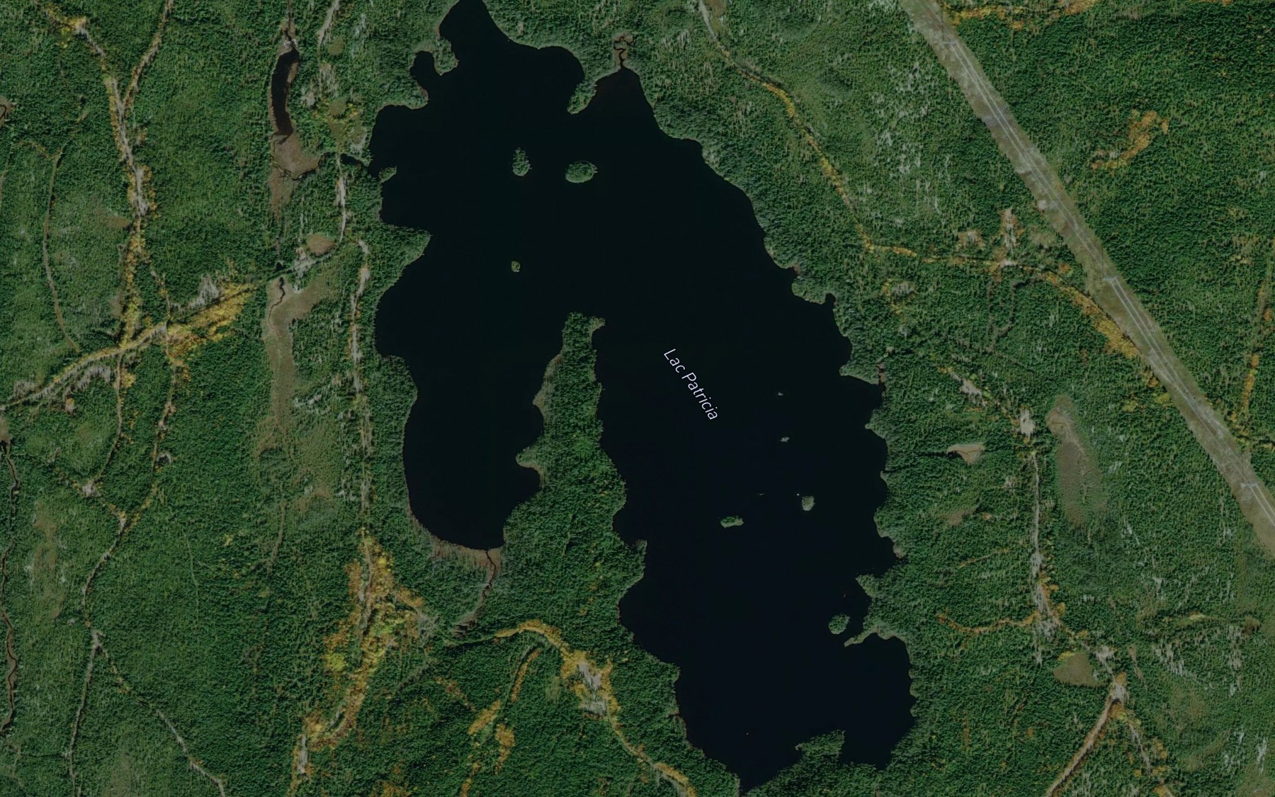 Satellite map of the Lac Patricia