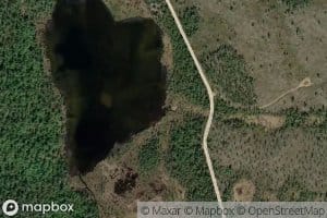 Kuusioja