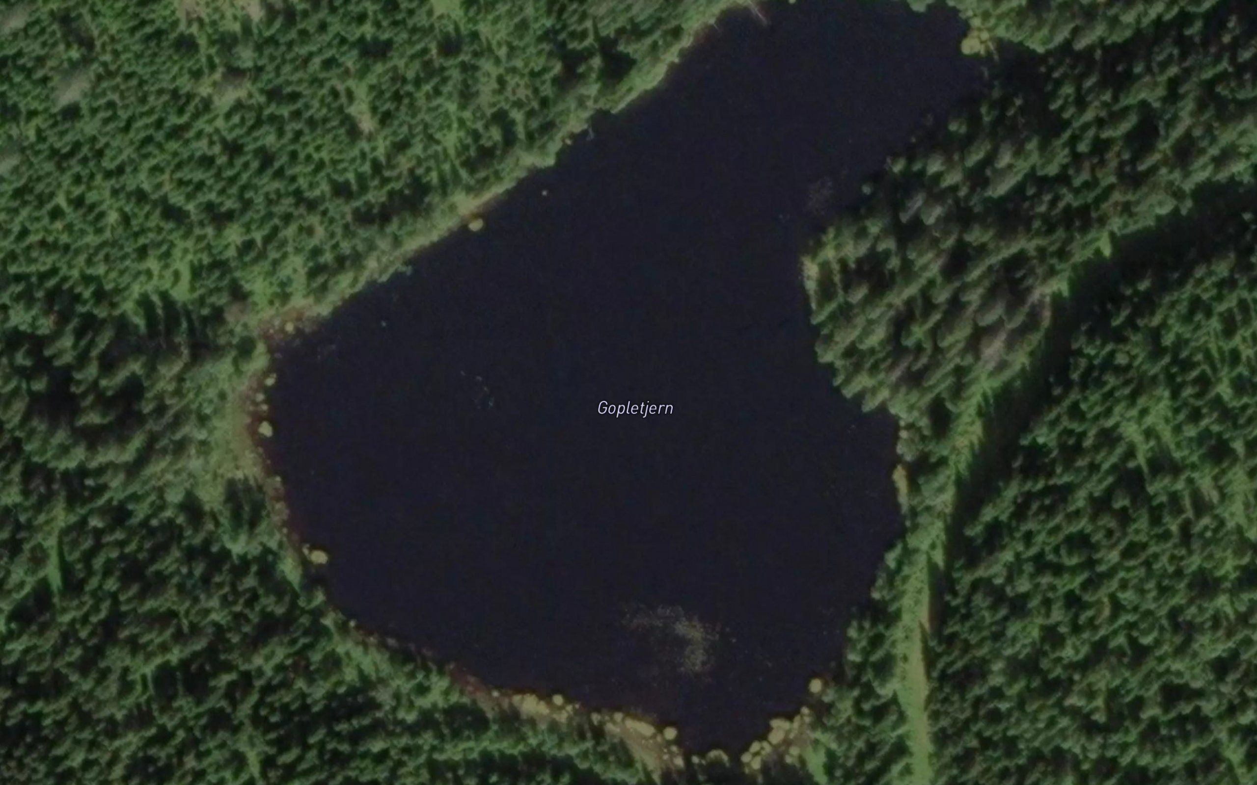 Gopletjern