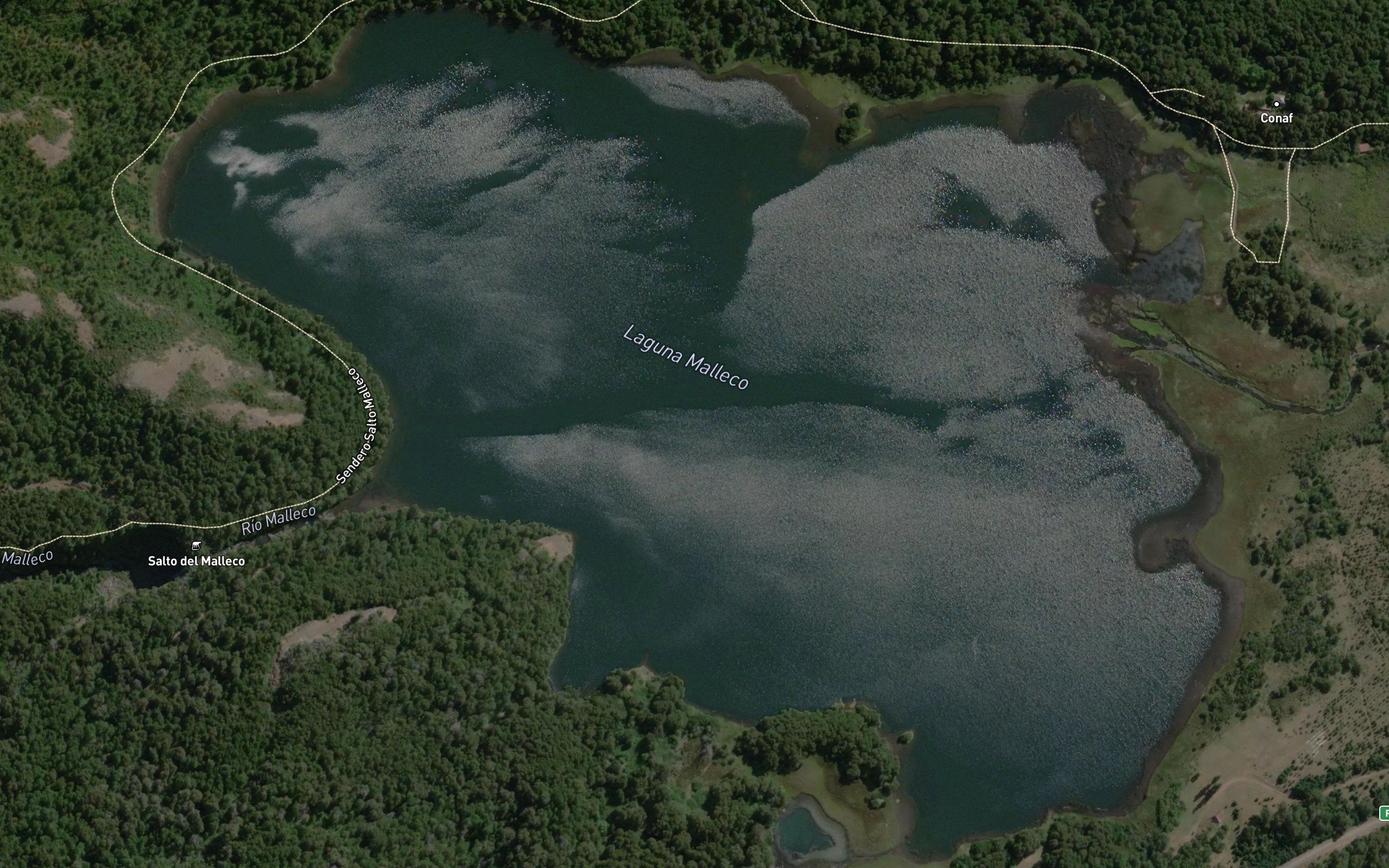 Laguna Malleco