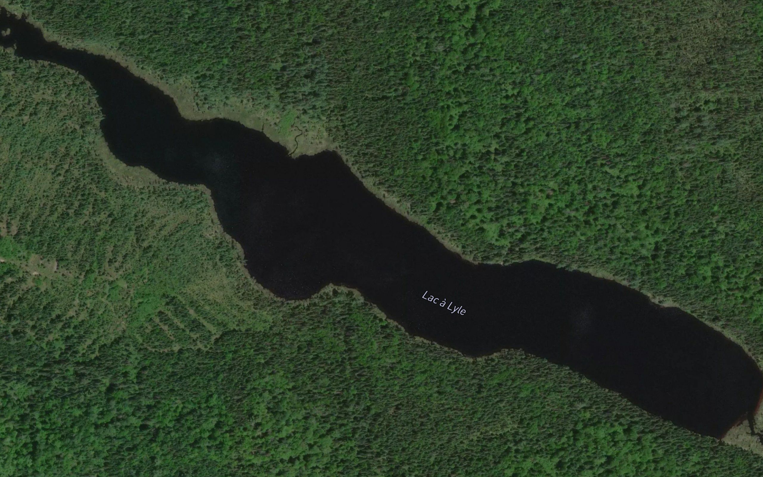 Lac a Lyle