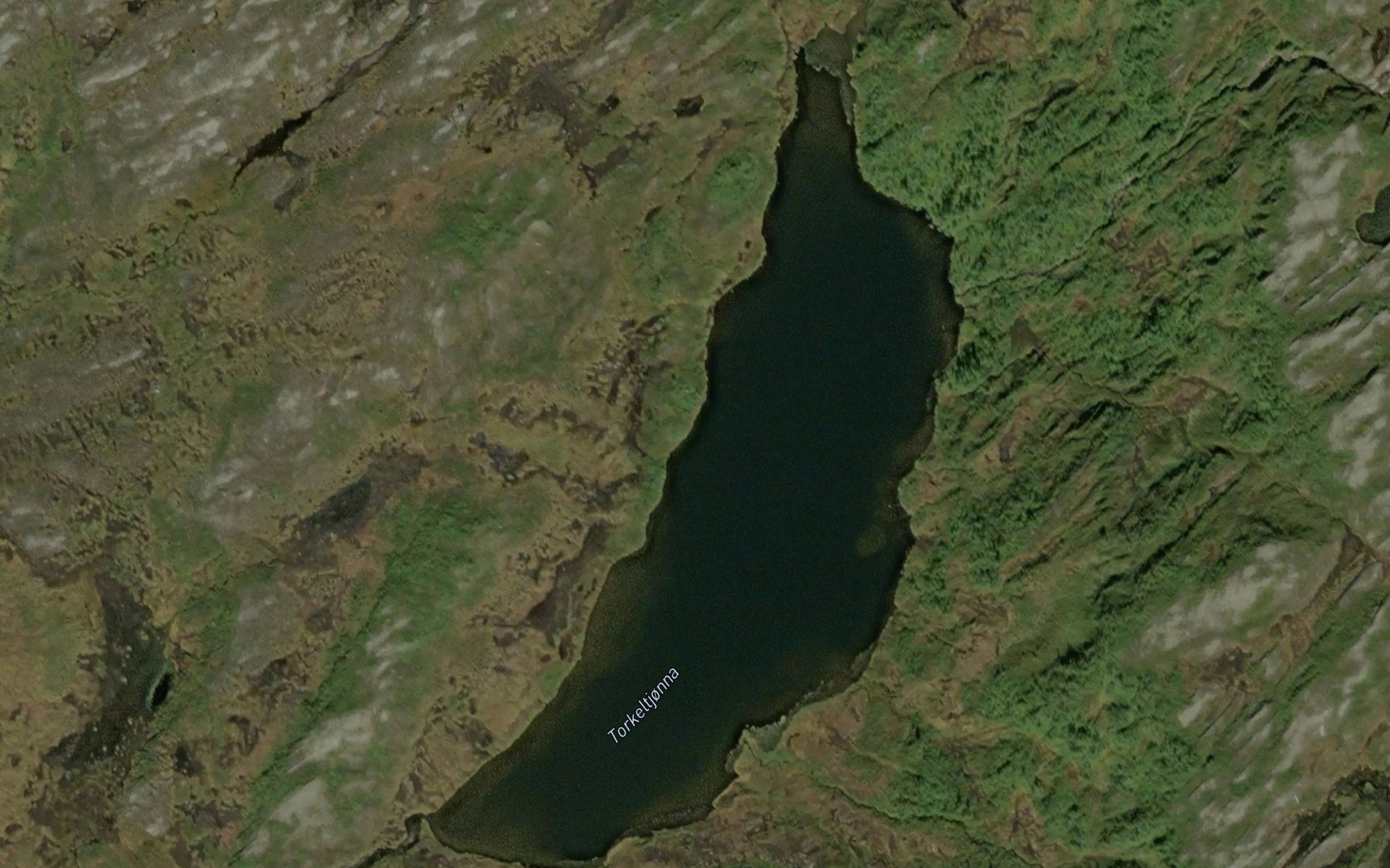 Torkeltjorna