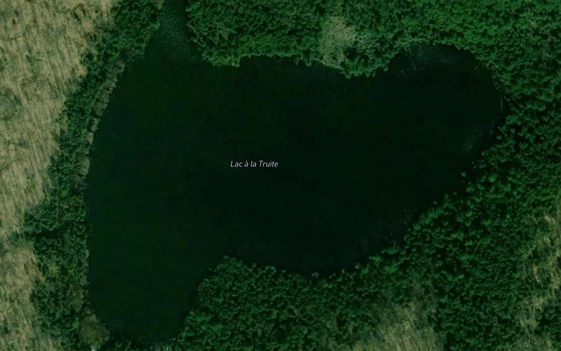 Satellite map of the Lac a la Truite
