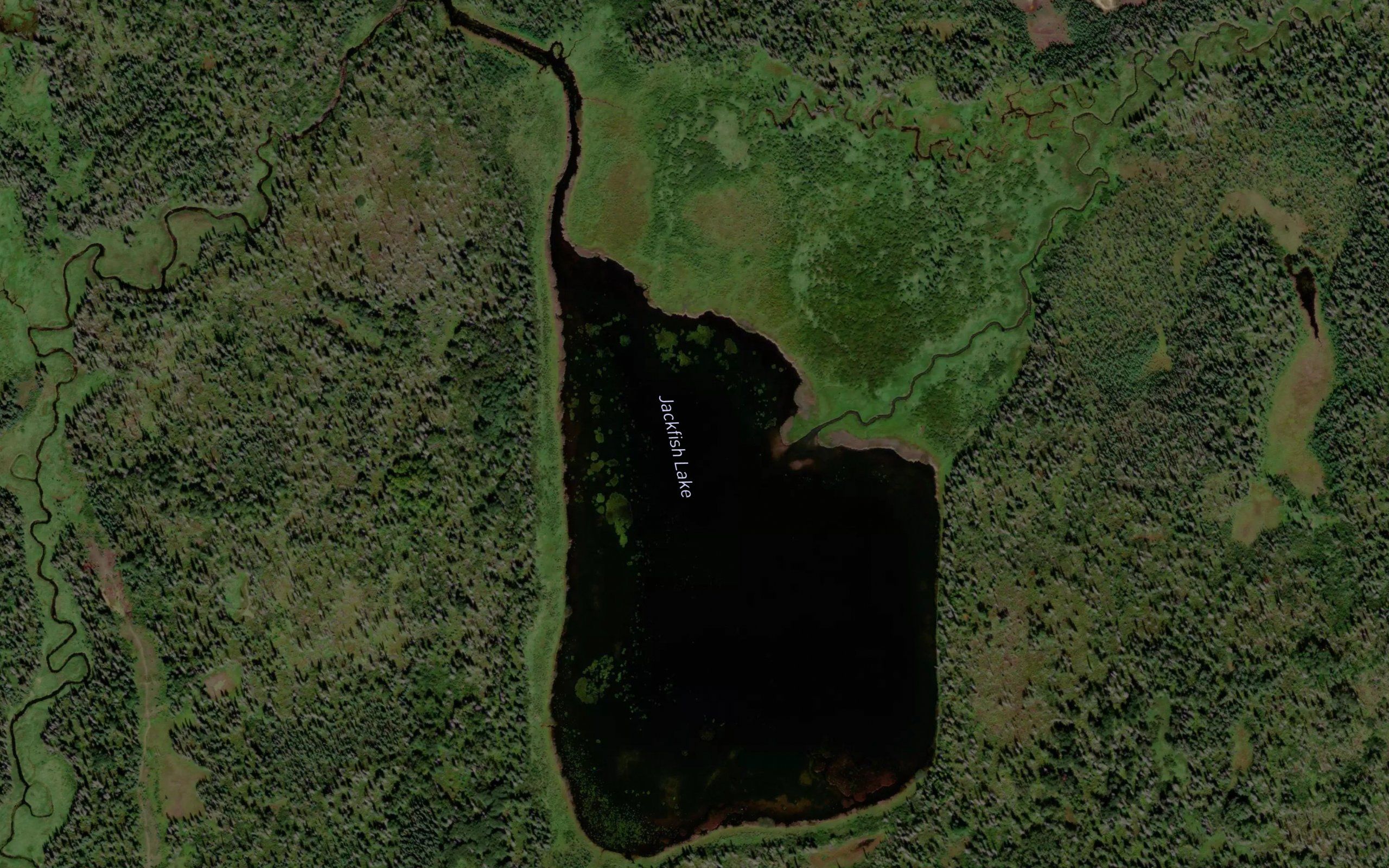Jackfish Lake