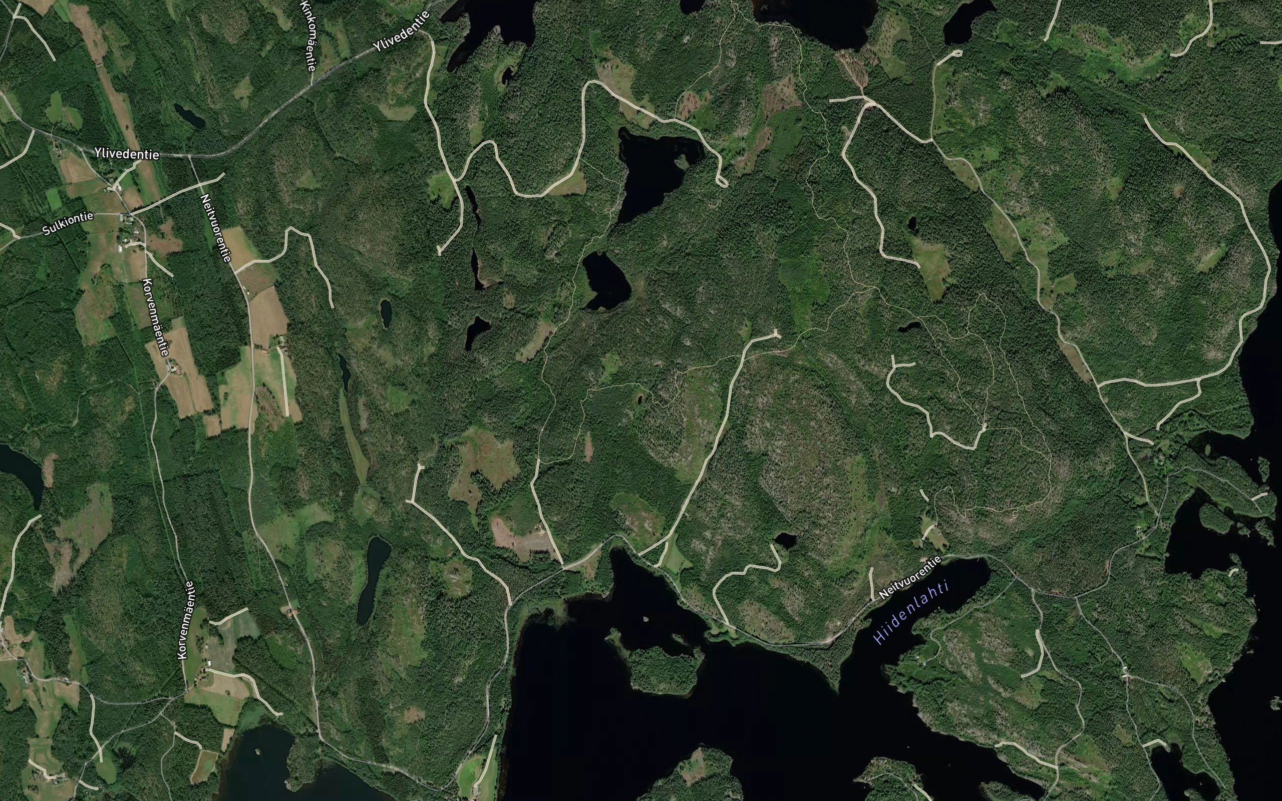 Kotkanpesanlampi