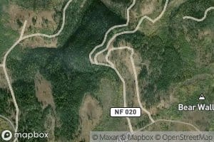 Panther Spring