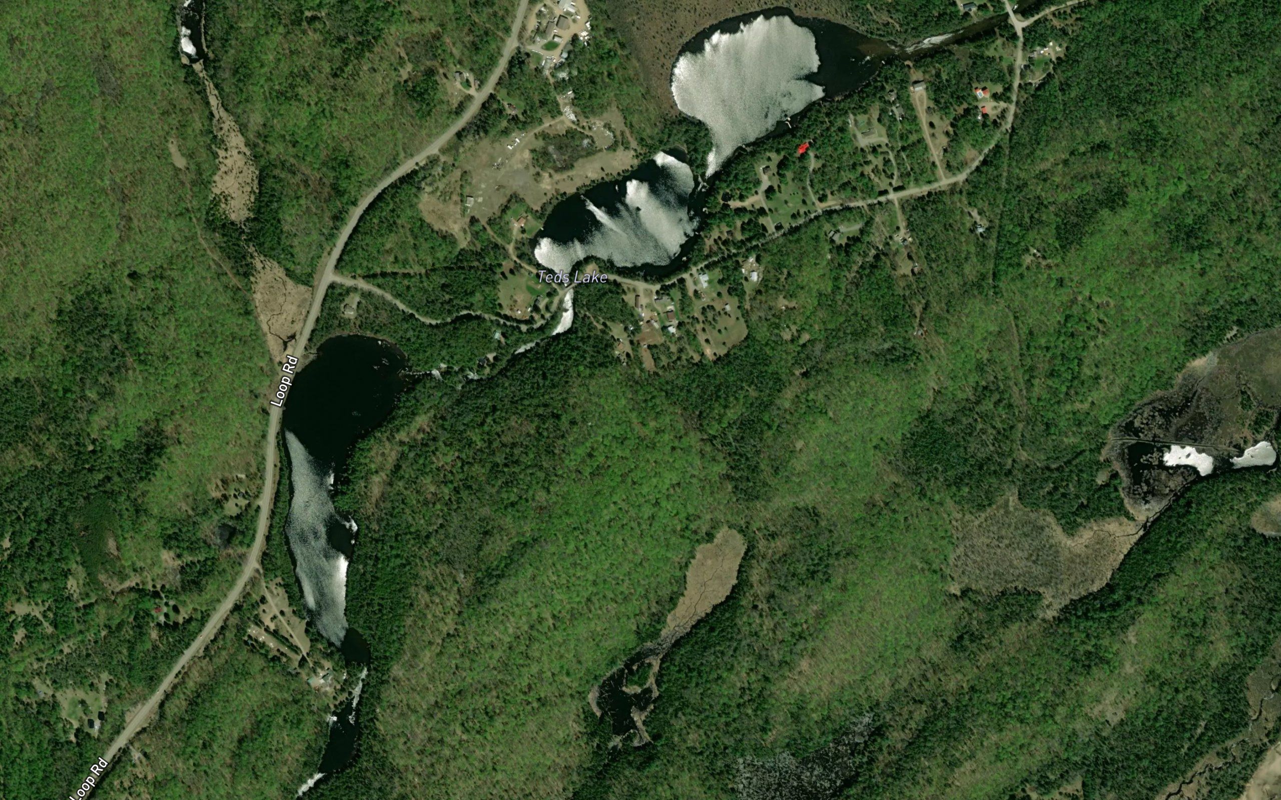 Teds Lake