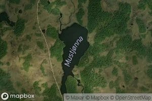 Mustjorna