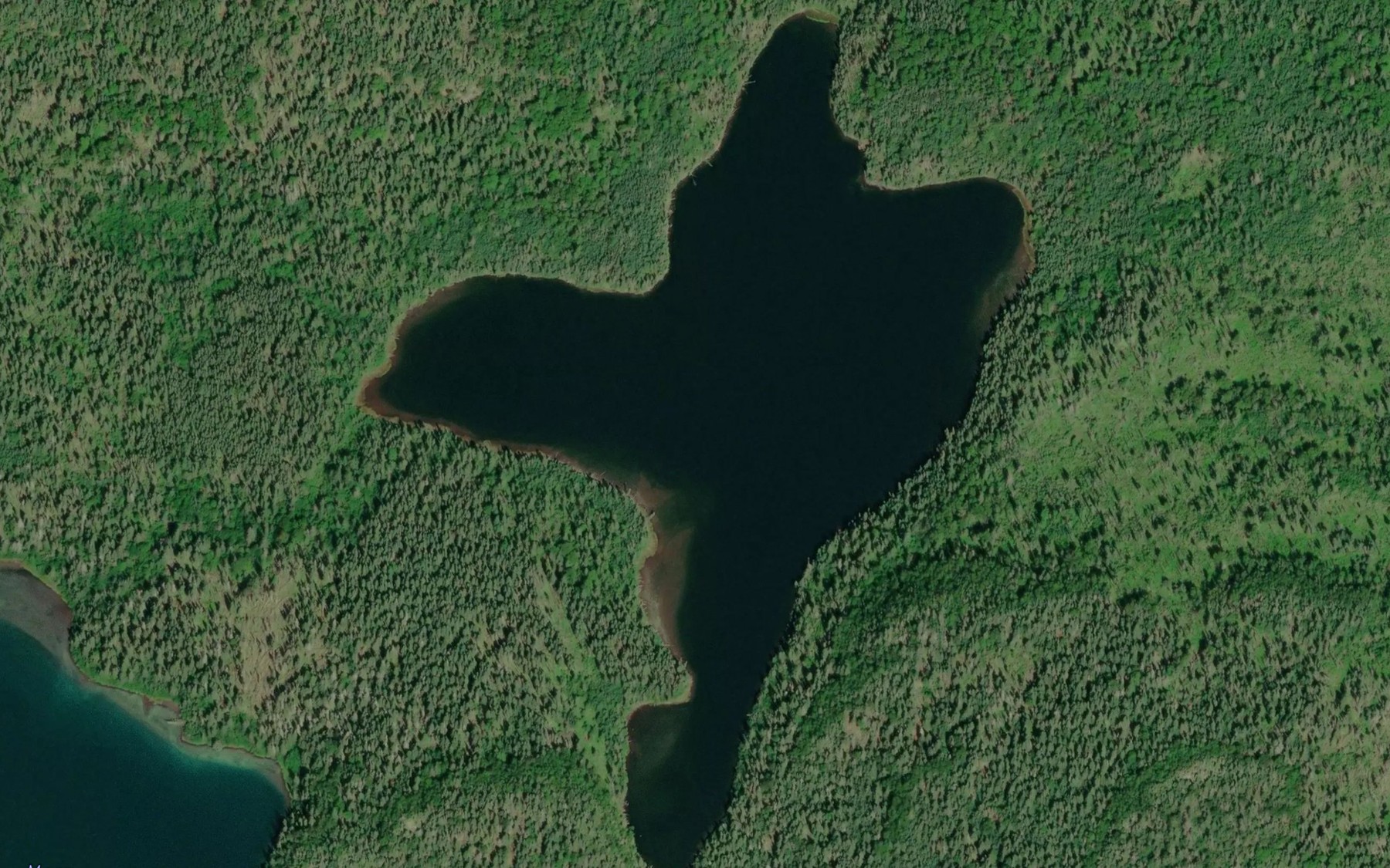 Satellite map of the Elizabeth Lake