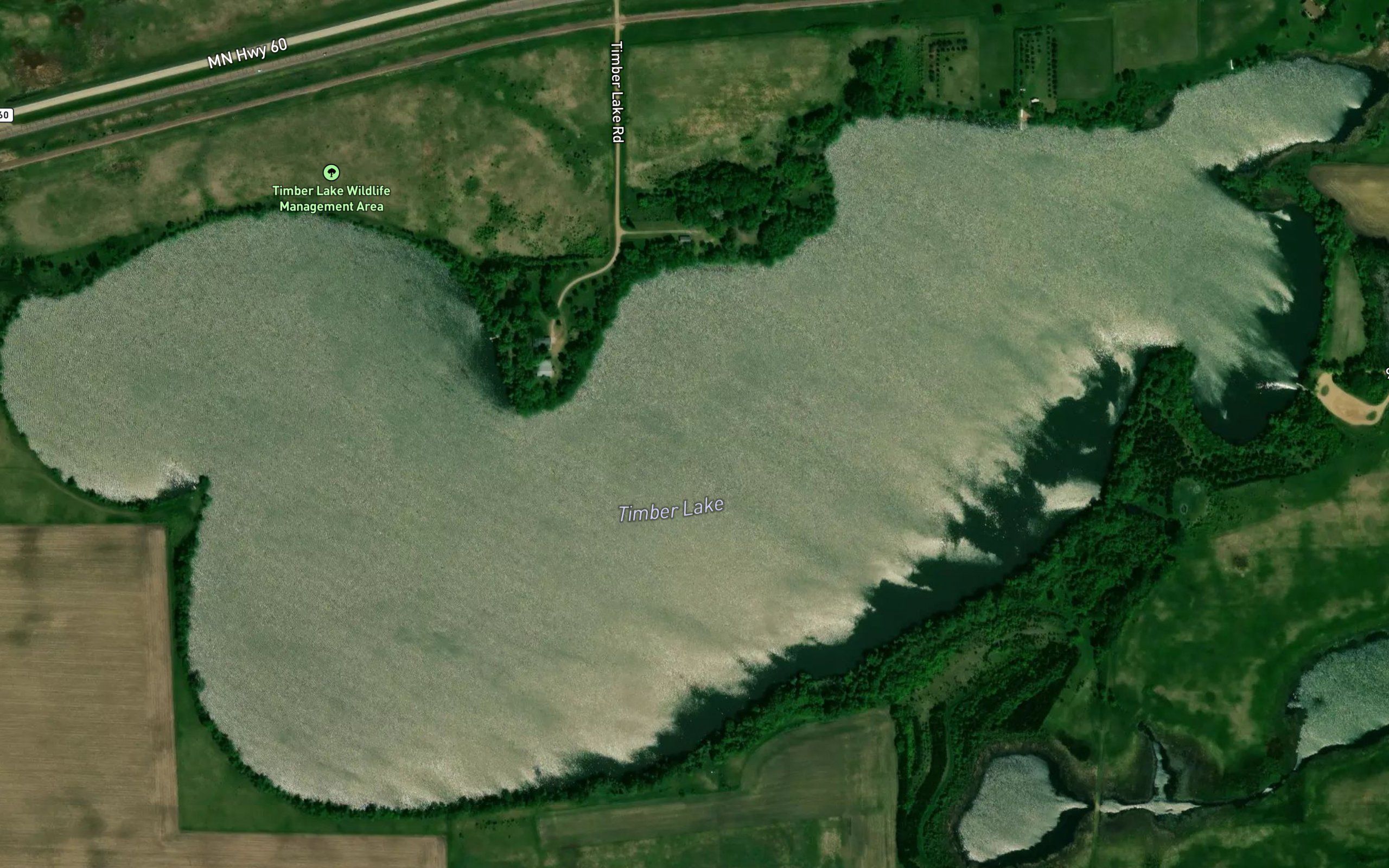 Timber Lake