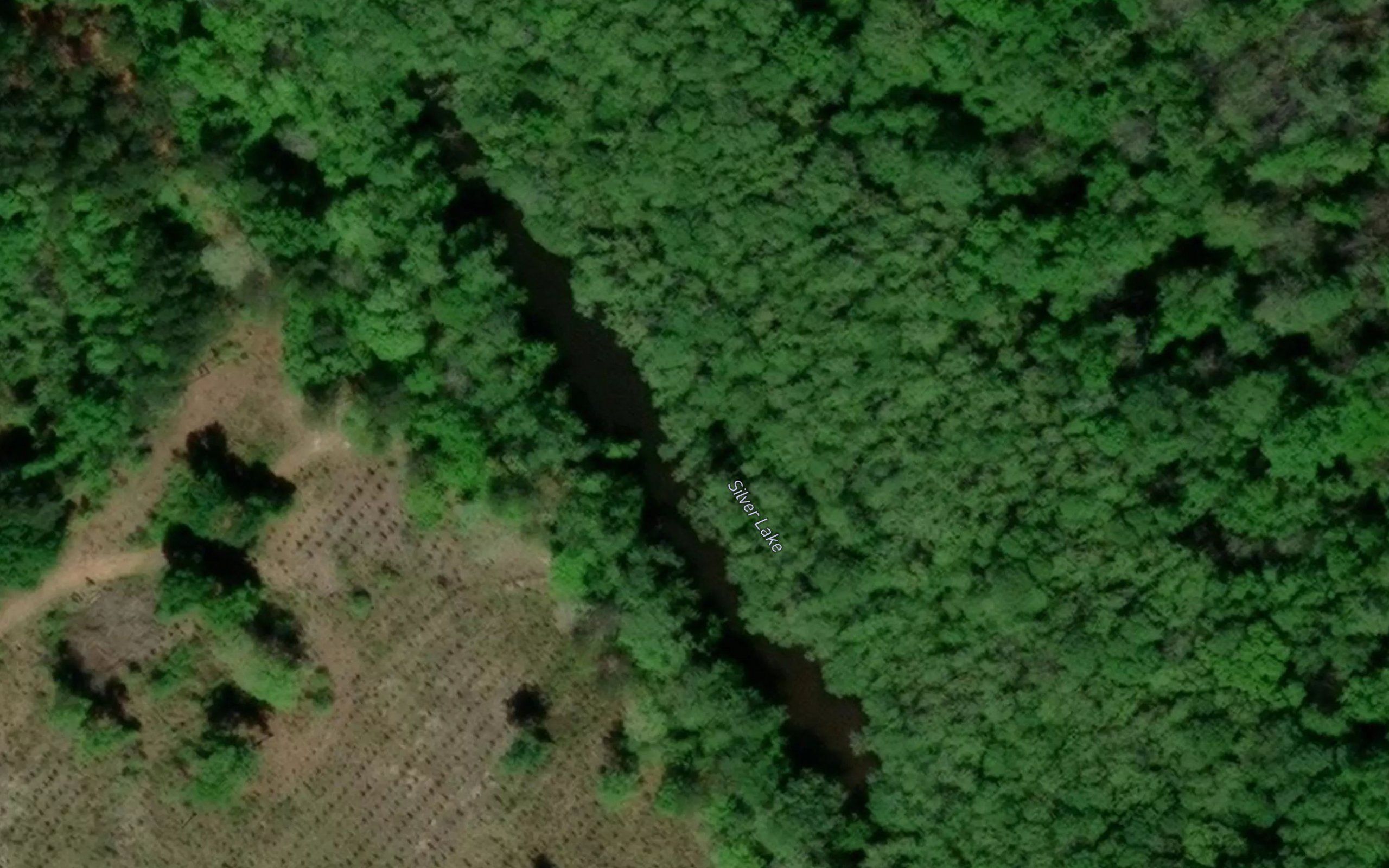 Silver Lake