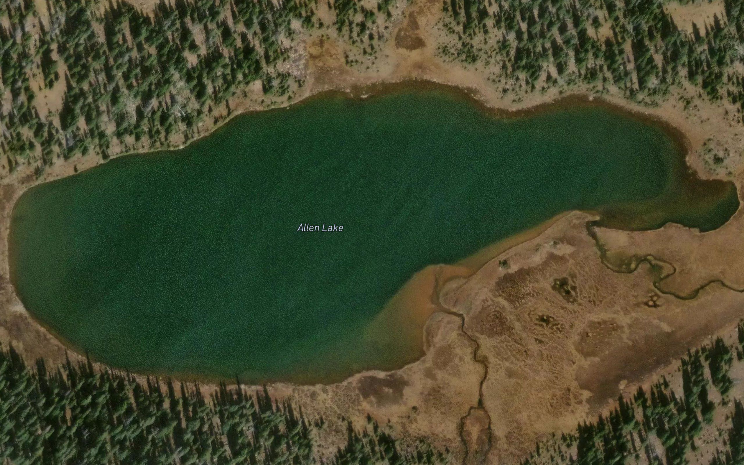 Allen Lake