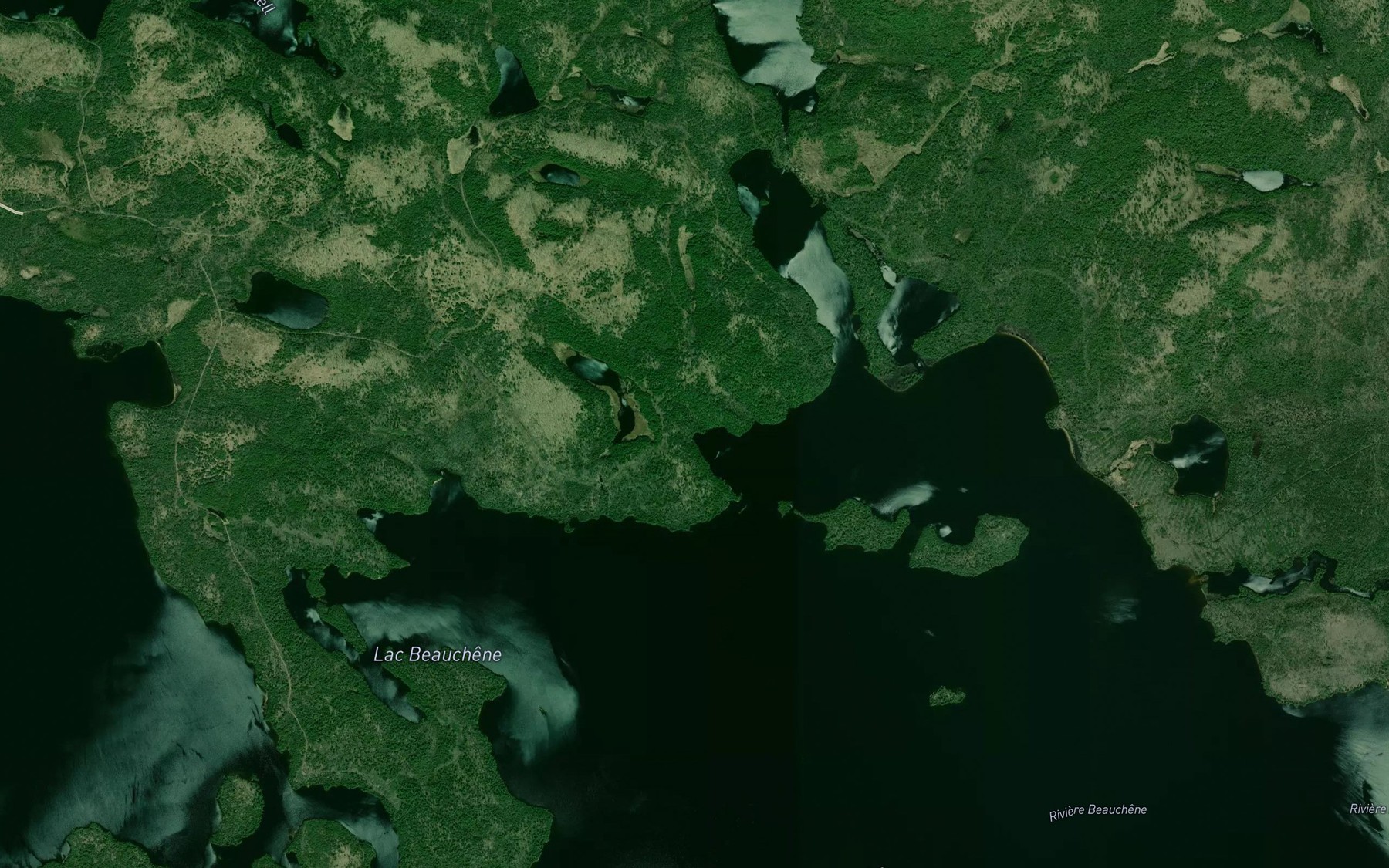 Satellite map of the Lac du Brochet