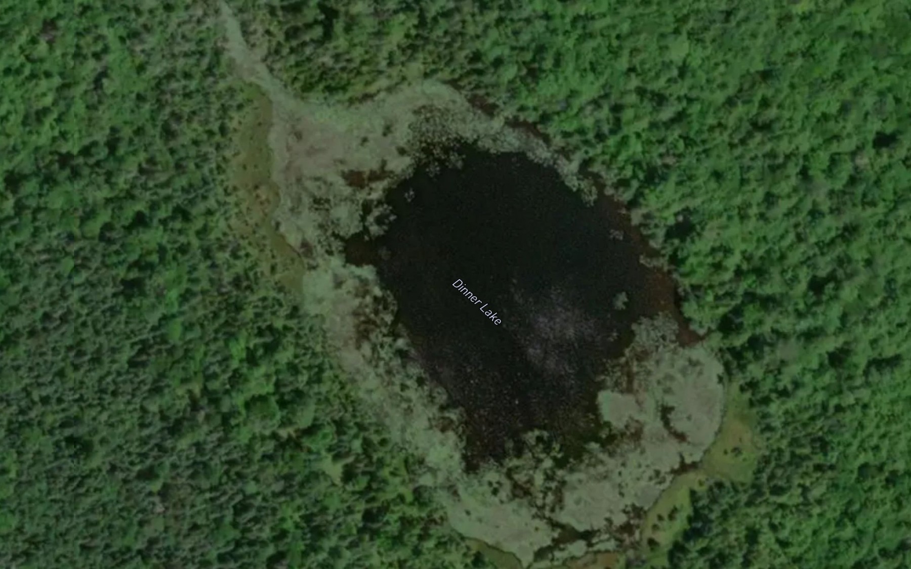 Satellite map of the Dinner Lake