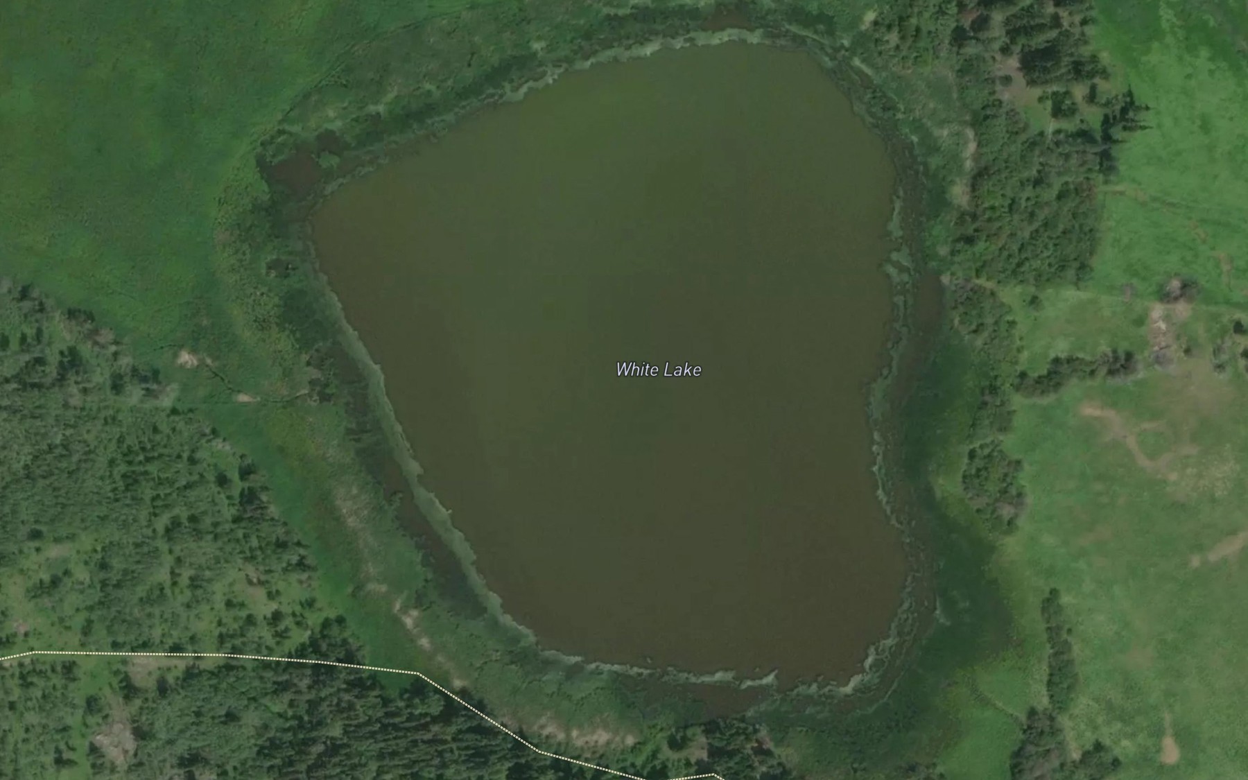 Satellite map of the White Lake