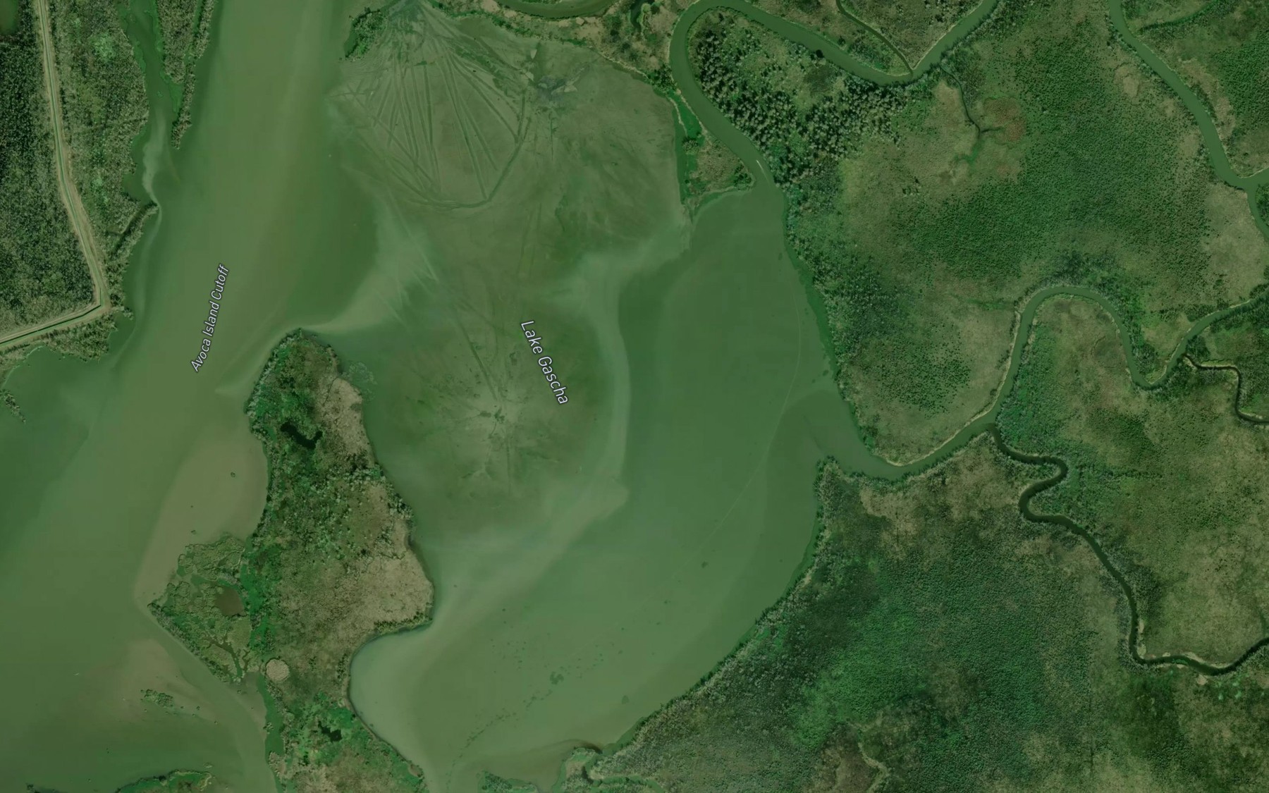 Satellite map of the Lake Gascha