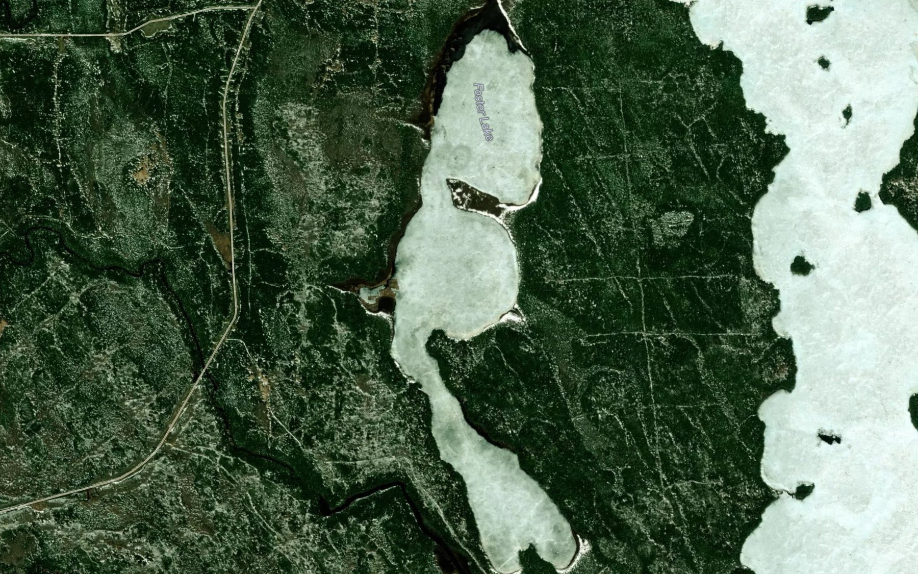 Satellite map of the Foster Lake