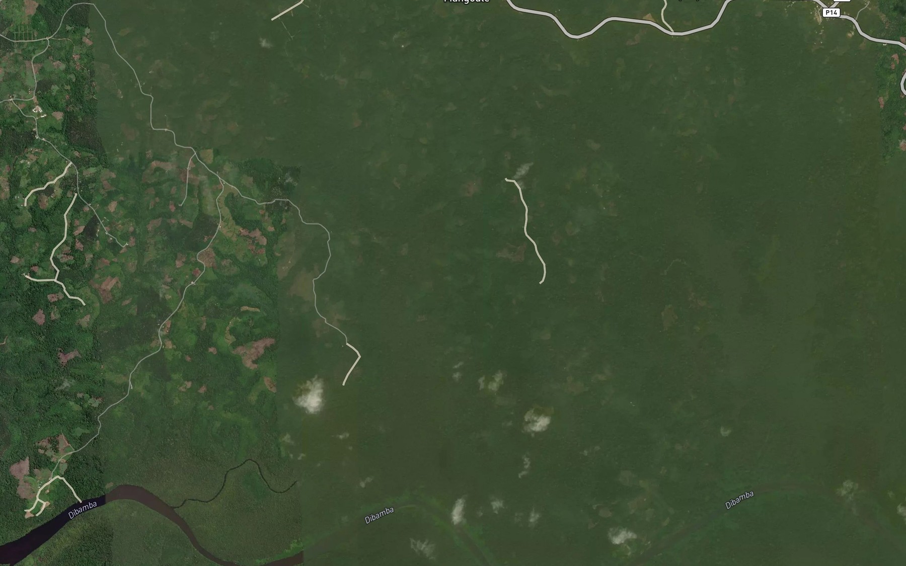 Satellite map of the Mangoule