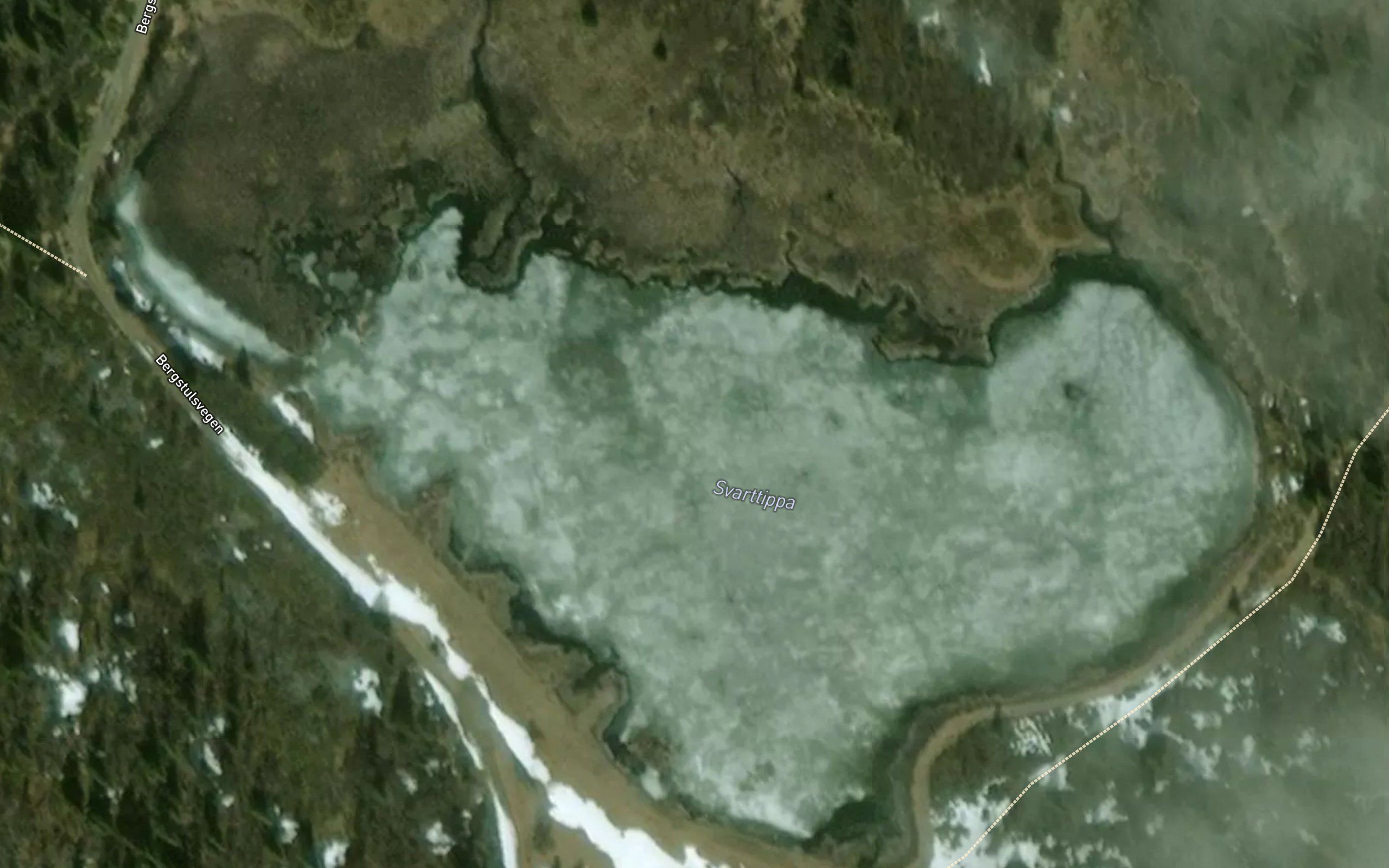 Svarttippa