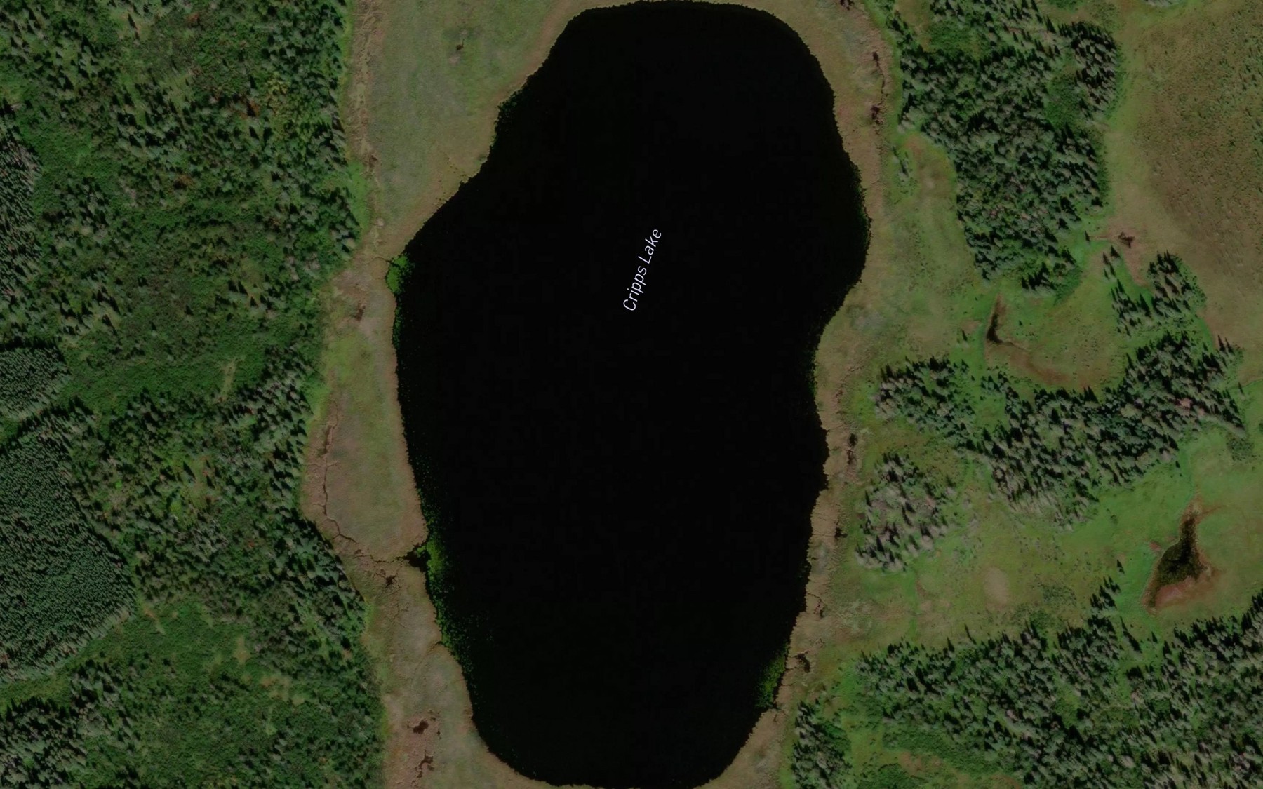 Satellite map of the Cripps Lake