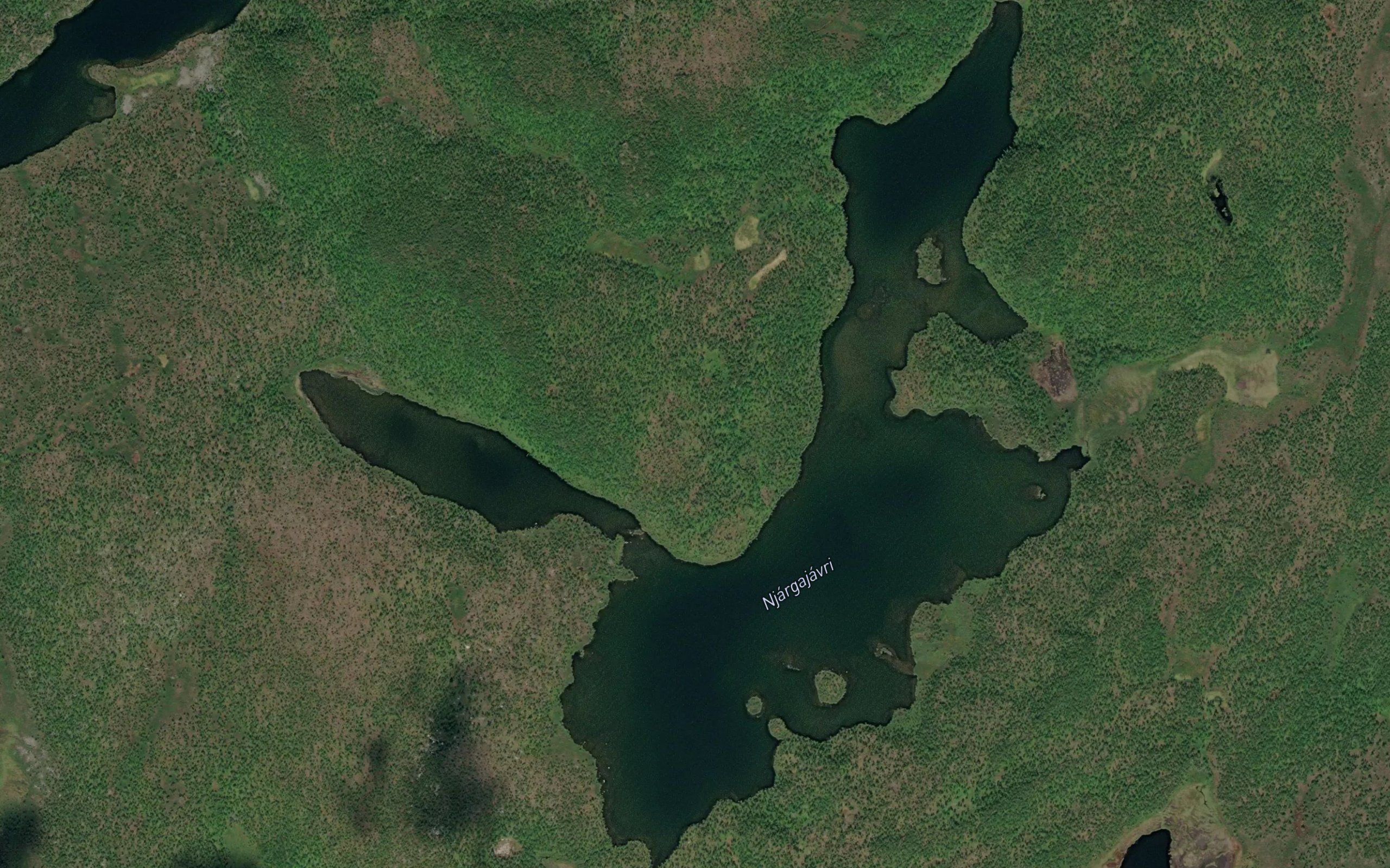 Njargajavri