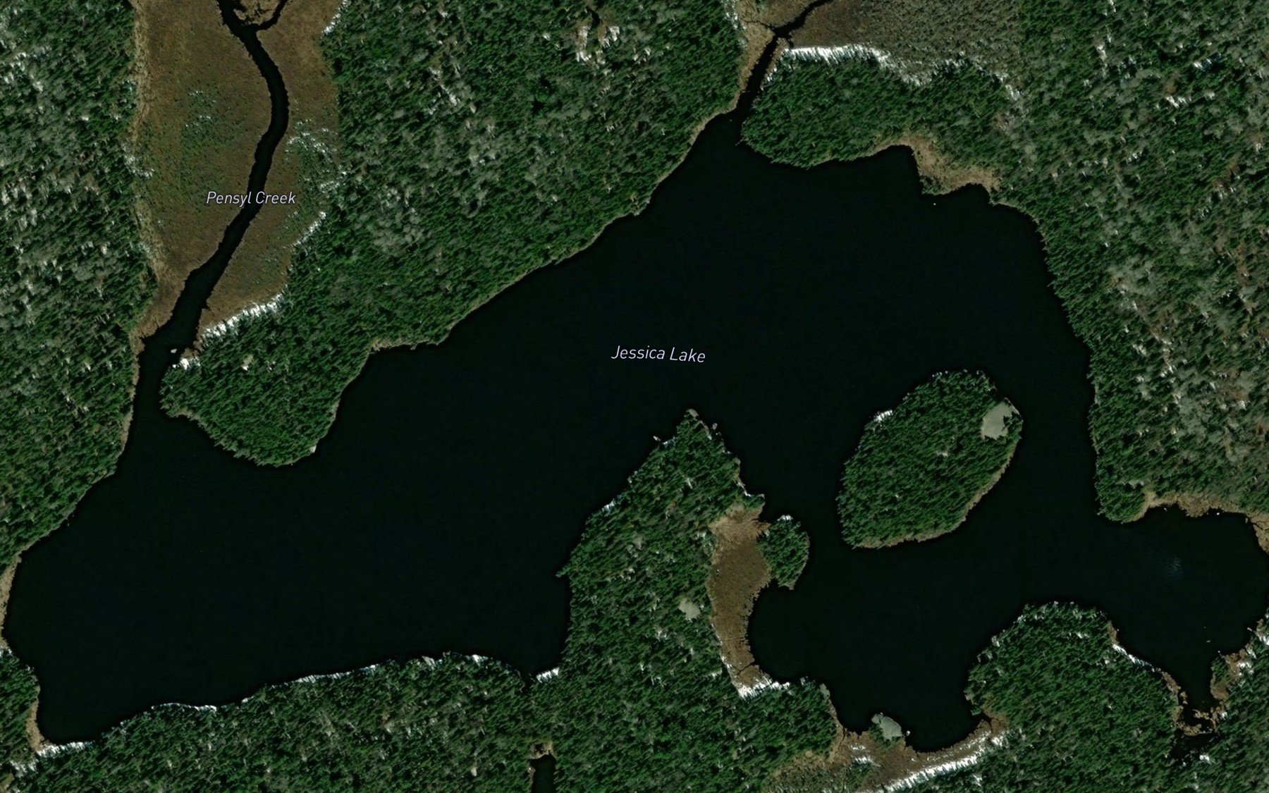 Satellite map of the Jessica Lake