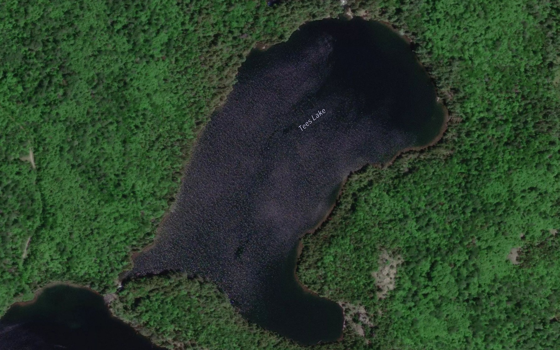 Satellite map of the Tees Lake