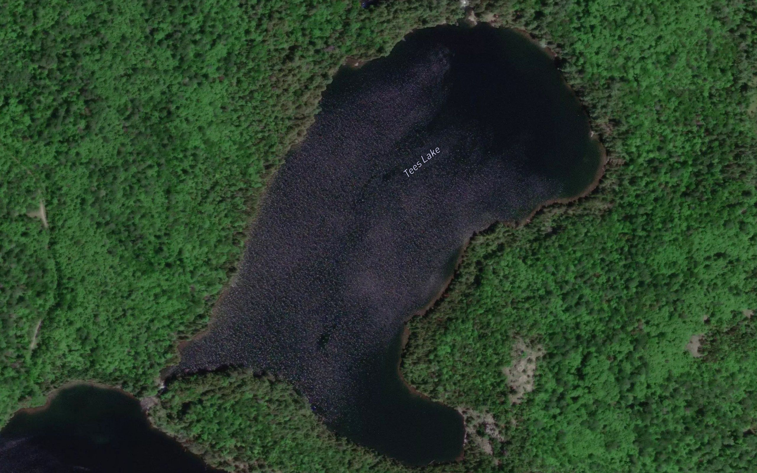 Tees Lake