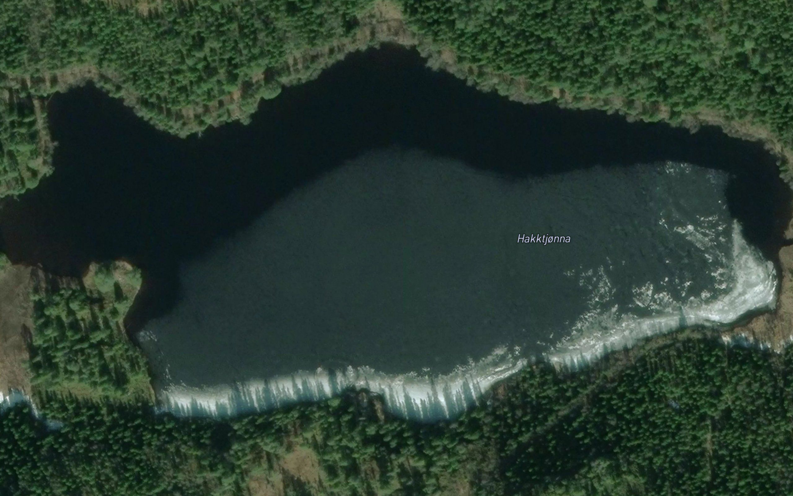 Storetakktjorna