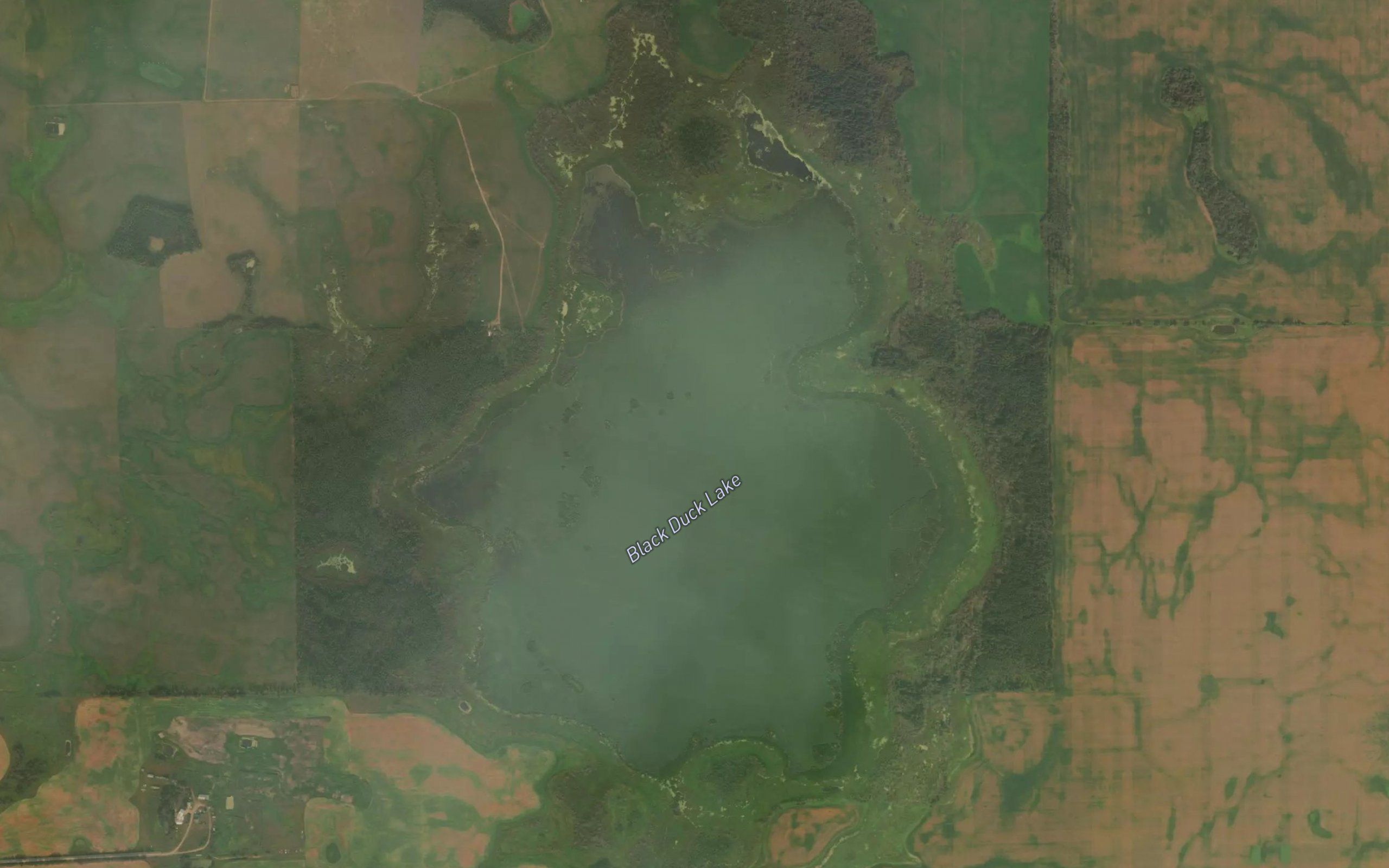 Black Duck Lake