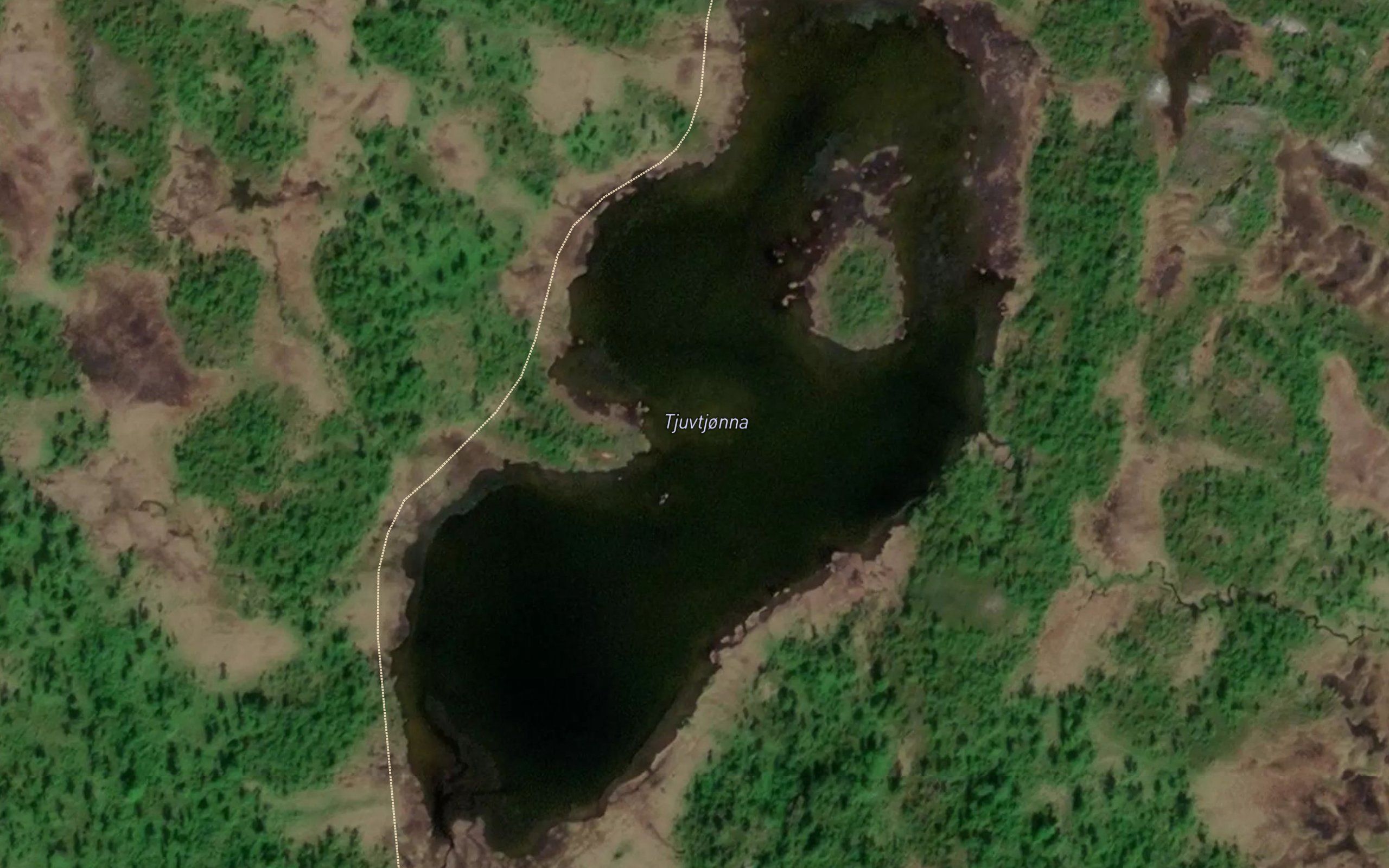 Tjuvtjorna