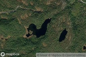 Lauvhaugtjernet