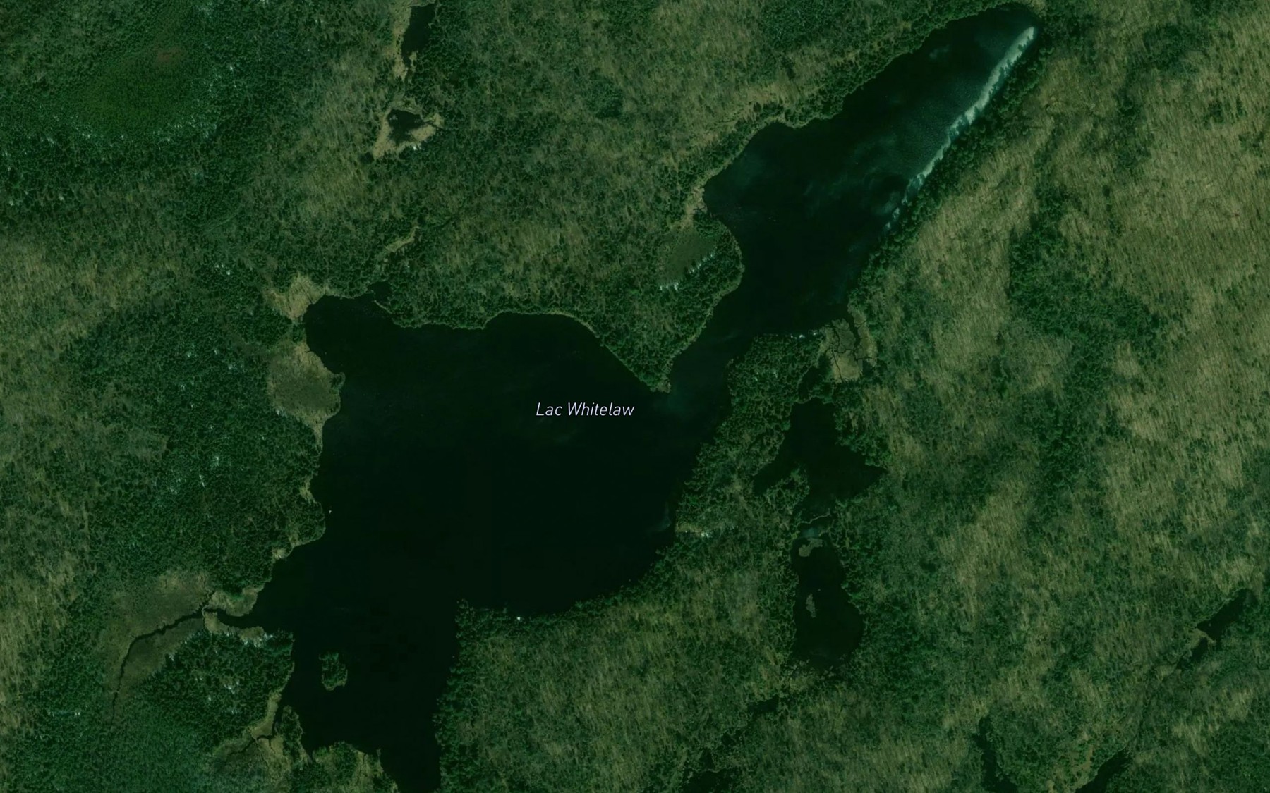 Satellite map of the Lac Whitelaw