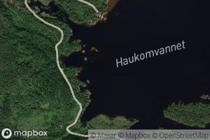 Haukomvatn