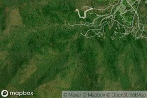 Puncheon Camp Branch