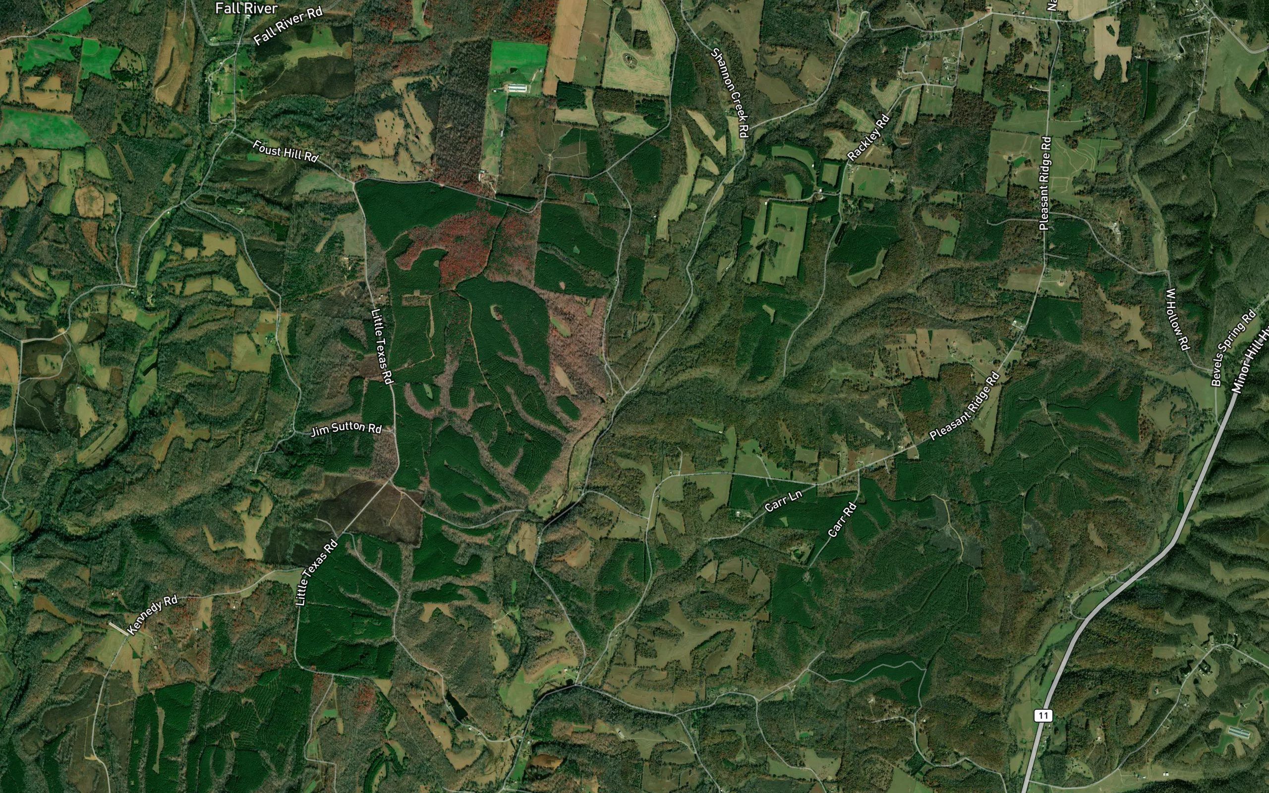 Turkey Branch