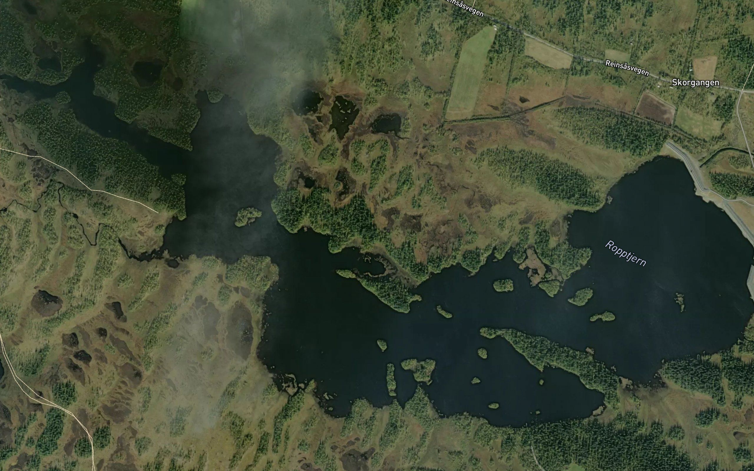 Nedre Ropptjornet