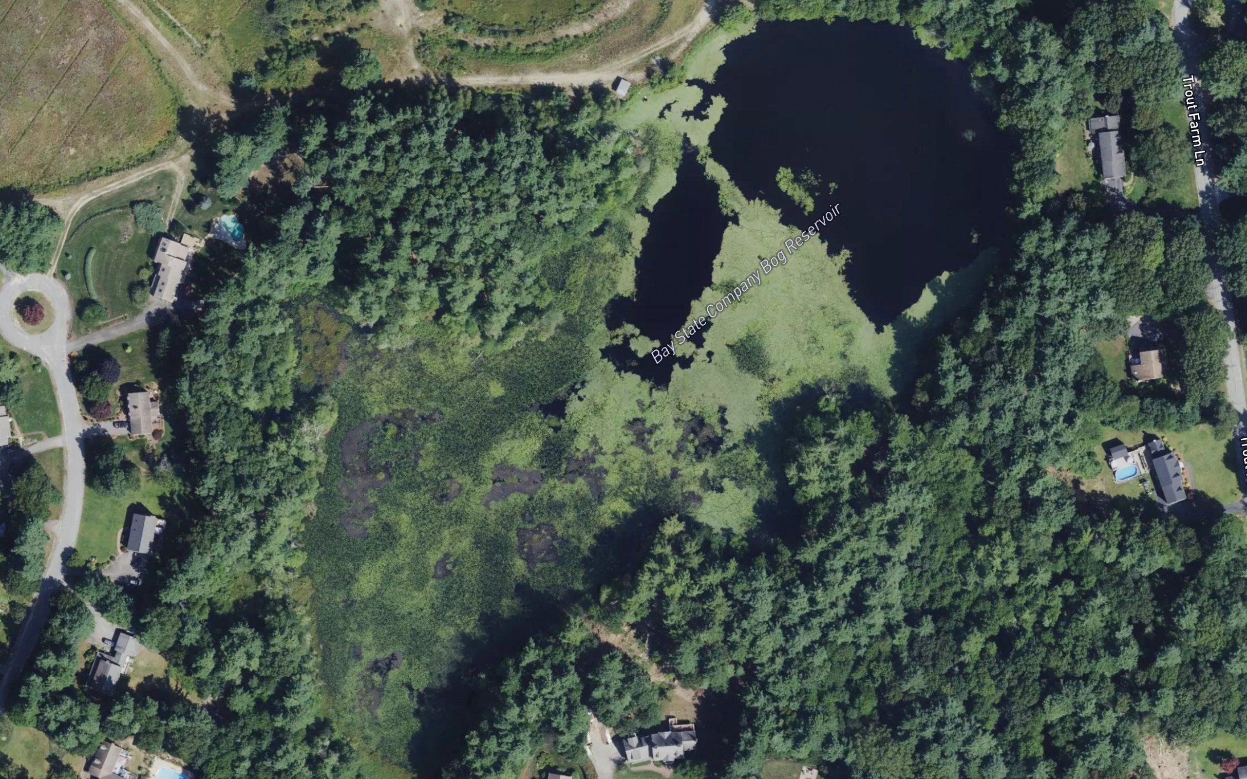Bay State Company Bog Reservoir