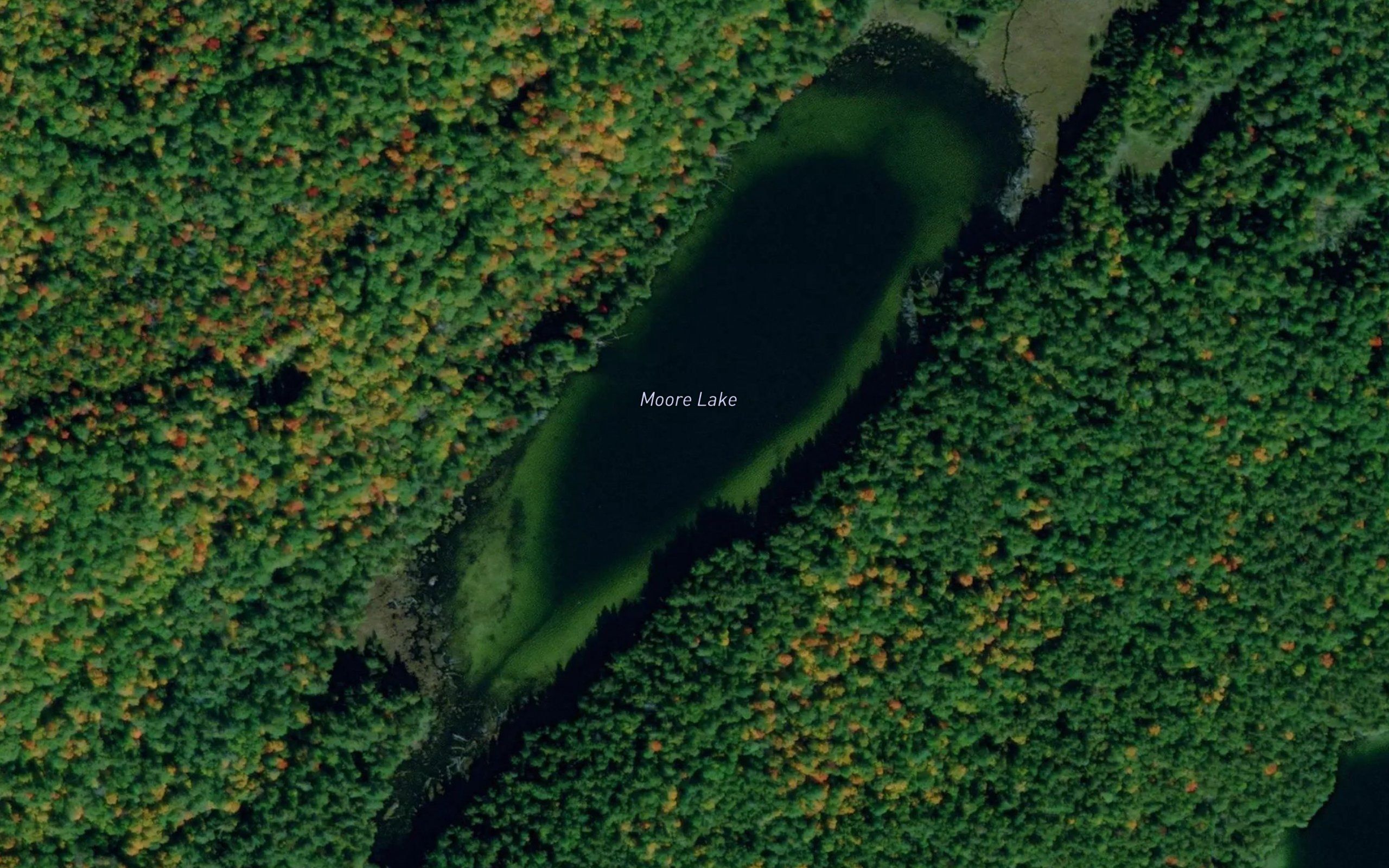 Moore Lake