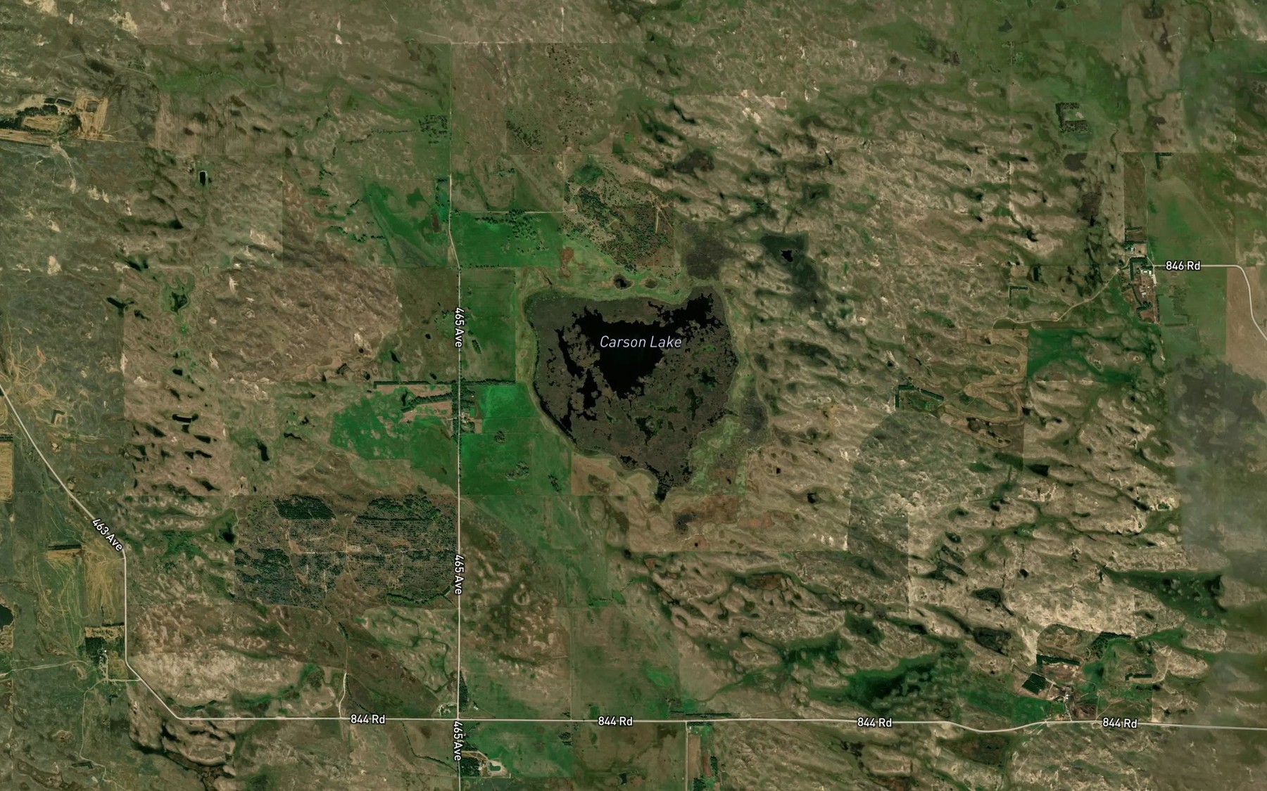 Satellite map of the Carson Lake
