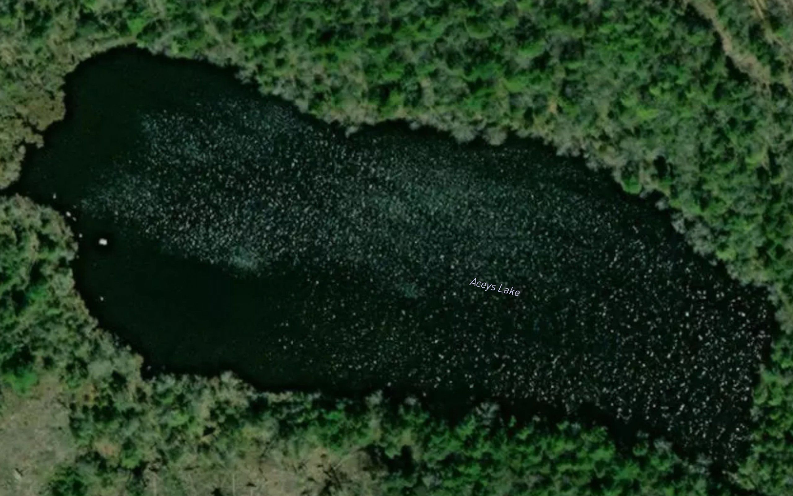 Aceys Lake